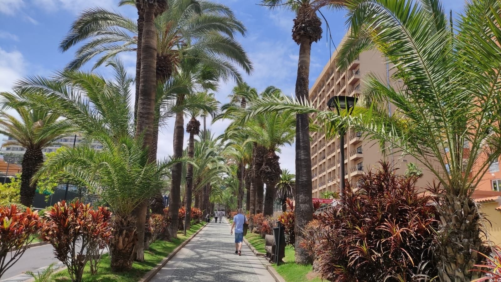 Zdjęcie w galerii na portalu naszraciborz.pl: Praktyki skąpane w słońcu. Raciborzanie na Wyspach Kanaryjskich i Cyprze wiadomości z regionu