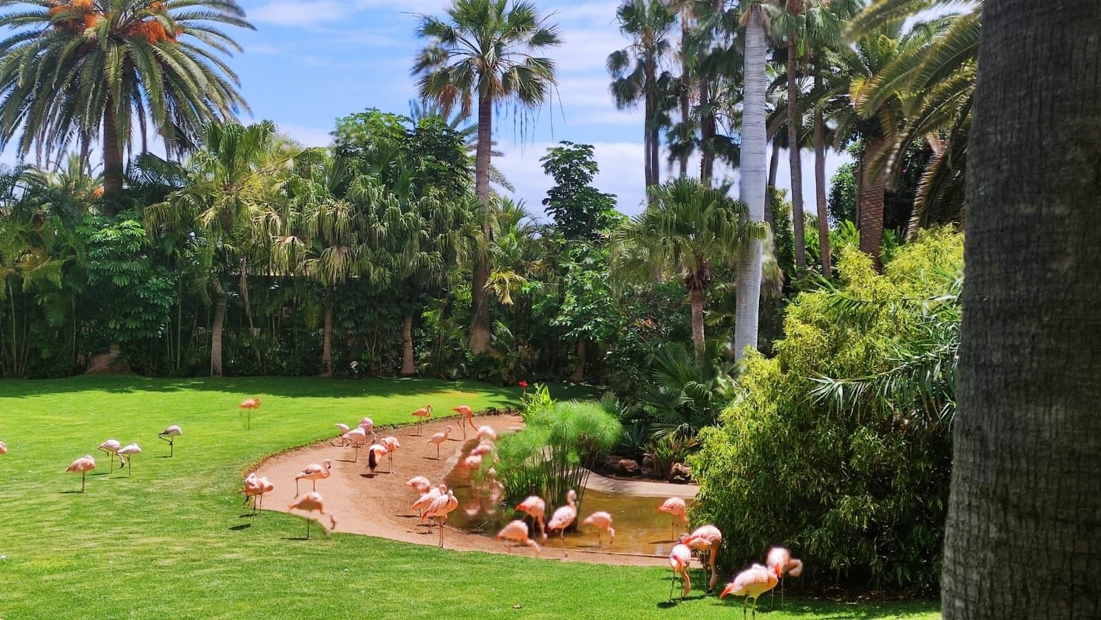 Zdjęcie w galerii na portalu naszraciborz.pl: Praktyki skąpane w słońcu. Raciborzanie na Wyspach Kanaryjskich i Cyprze wiadomości z regionu