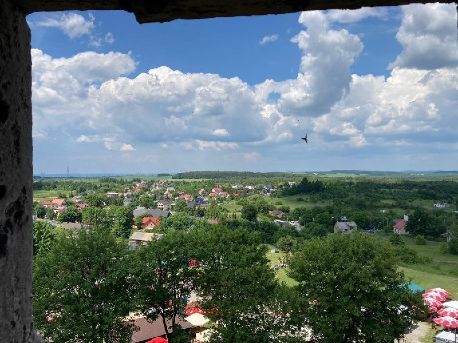 Zdjęcie w galerii na portalu naszraciborz.pl: Projekt Kasprowy SP 4 z dofinansowaniem w 8. edycji konkursu Zielona Pracownia wiadomości z regionu