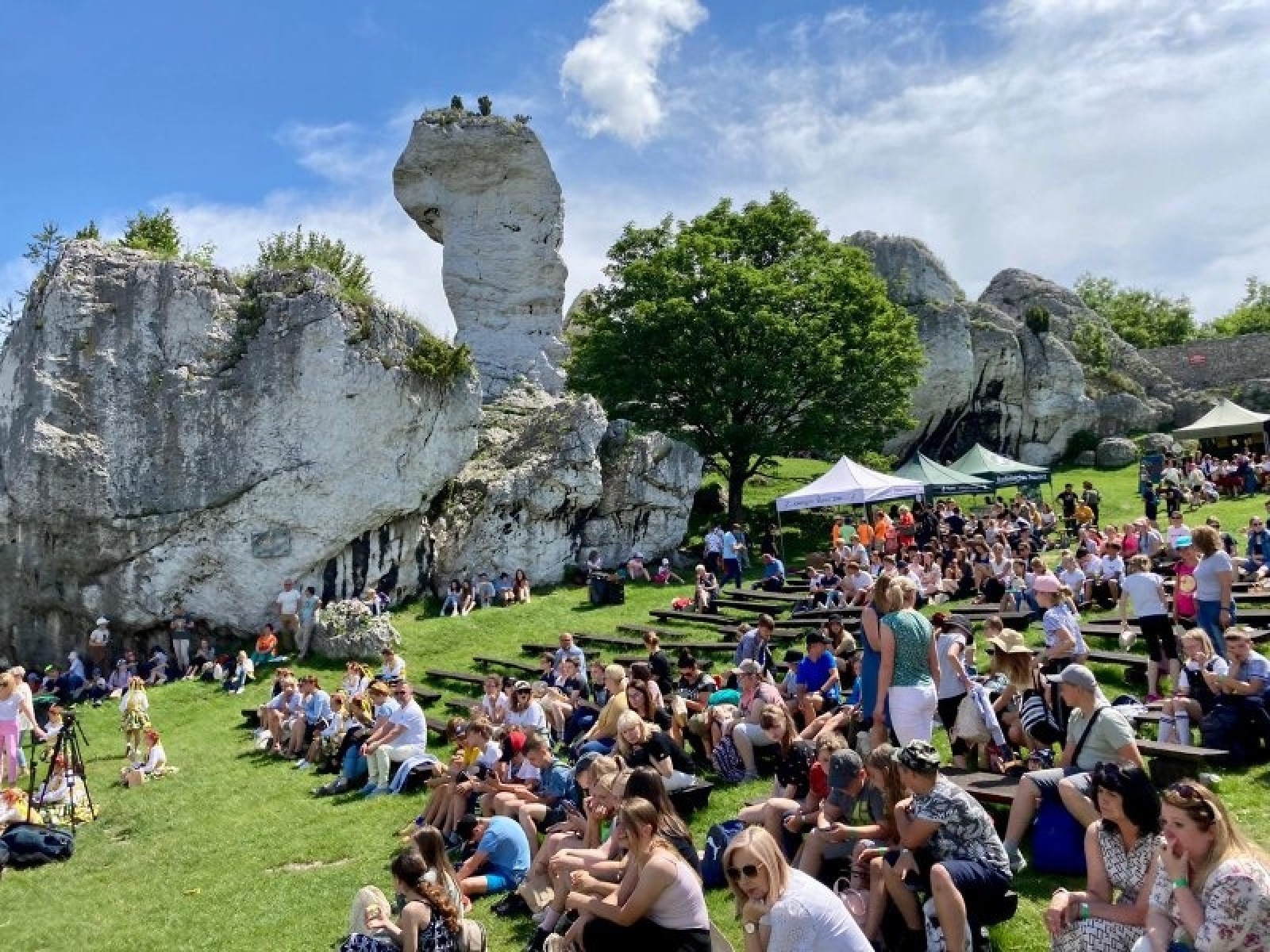 Zdjęcie w galerii na portalu naszraciborz.pl: Projekt Kasprowy SP 4 z dofinansowaniem w 8. edycji konkursu Zielona Pracownia wiadomości z regionu
