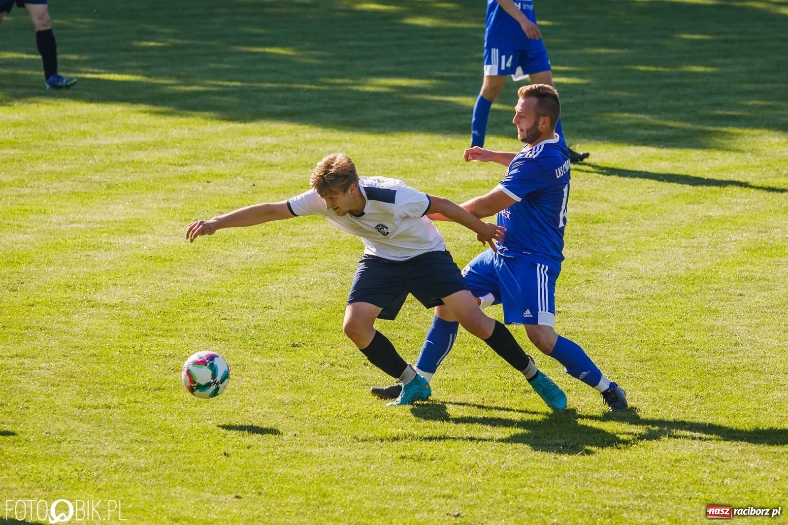 Zdjęcie w galerii na portalu naszraciborz.pl: Lokomotywa z Tuwima rozjechała Cyprzanów [FOTO] wiadomości z regionu