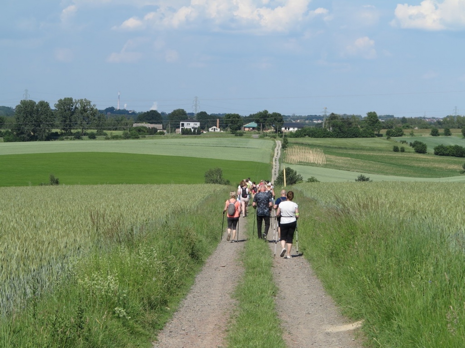 Zdjęcie w galerii na portalu naszraciborz.pl: Nie wystraszyli się upału. Z kijkami z wójtem w grupie wiadomości z regionu
