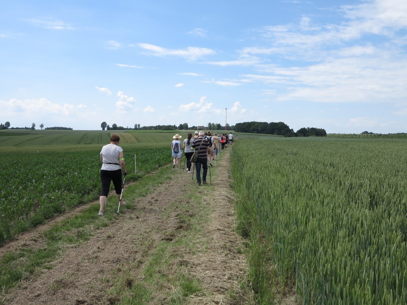 Zdjęcie w galerii na portalu naszraciborz.pl: Nie wystraszyli się upału. Z kijkami z wójtem w grupie wiadomości z regionu