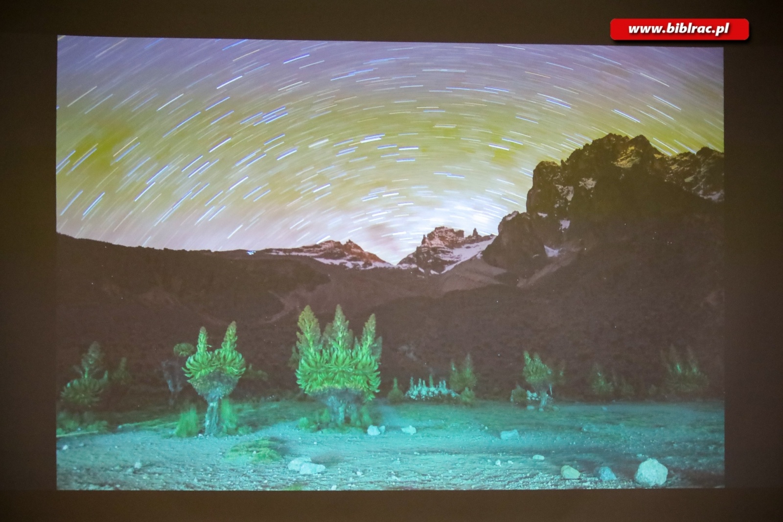 Zdjęcie w galerii na portalu naszraciborz.pl: Afrykańska podróż marzeń w bibliotece wiadomości z regionu