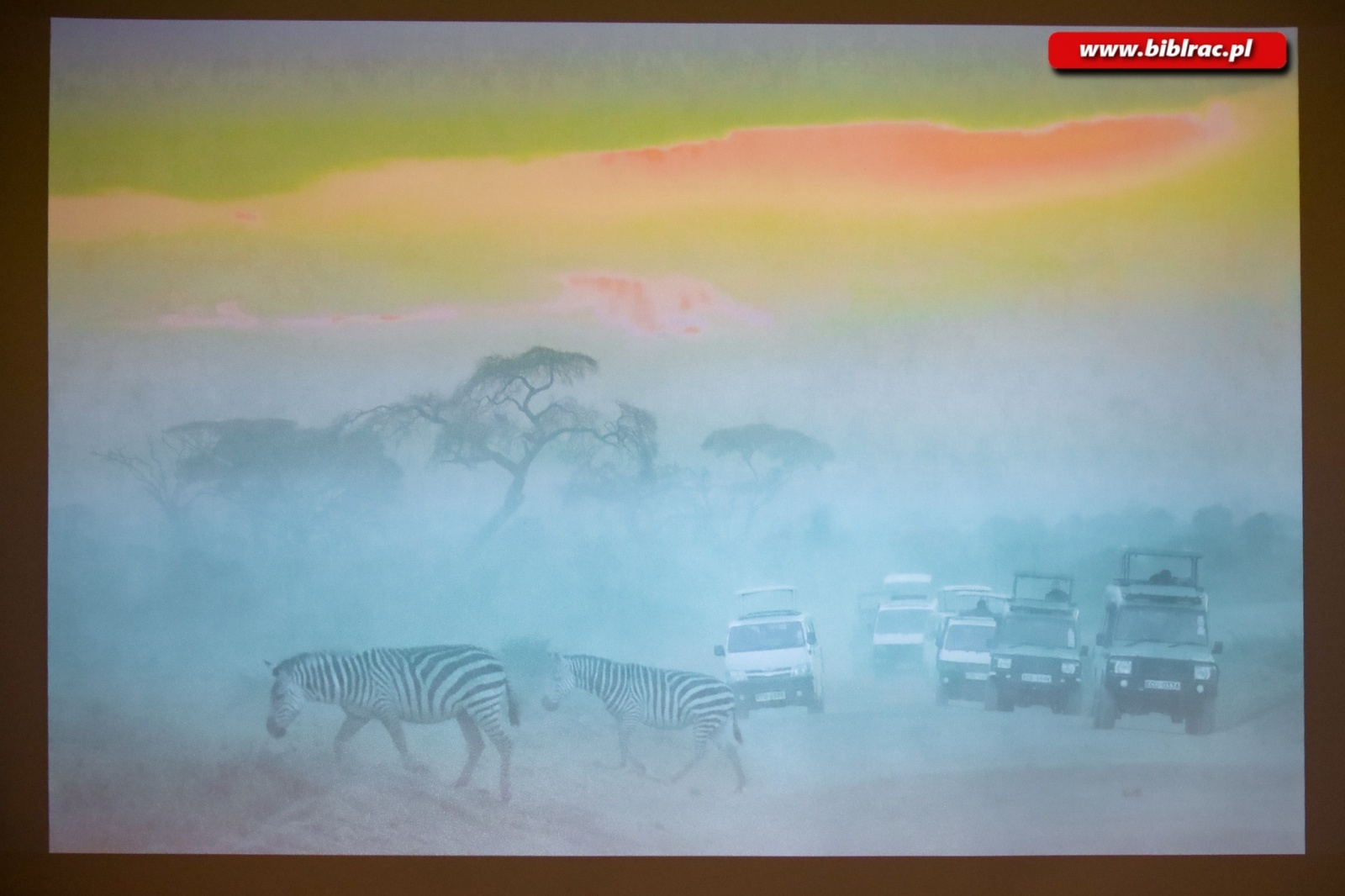 Zdjęcie w galerii na portalu naszraciborz.pl: Afrykańska podróż marzeń w bibliotece wiadomości z regionu