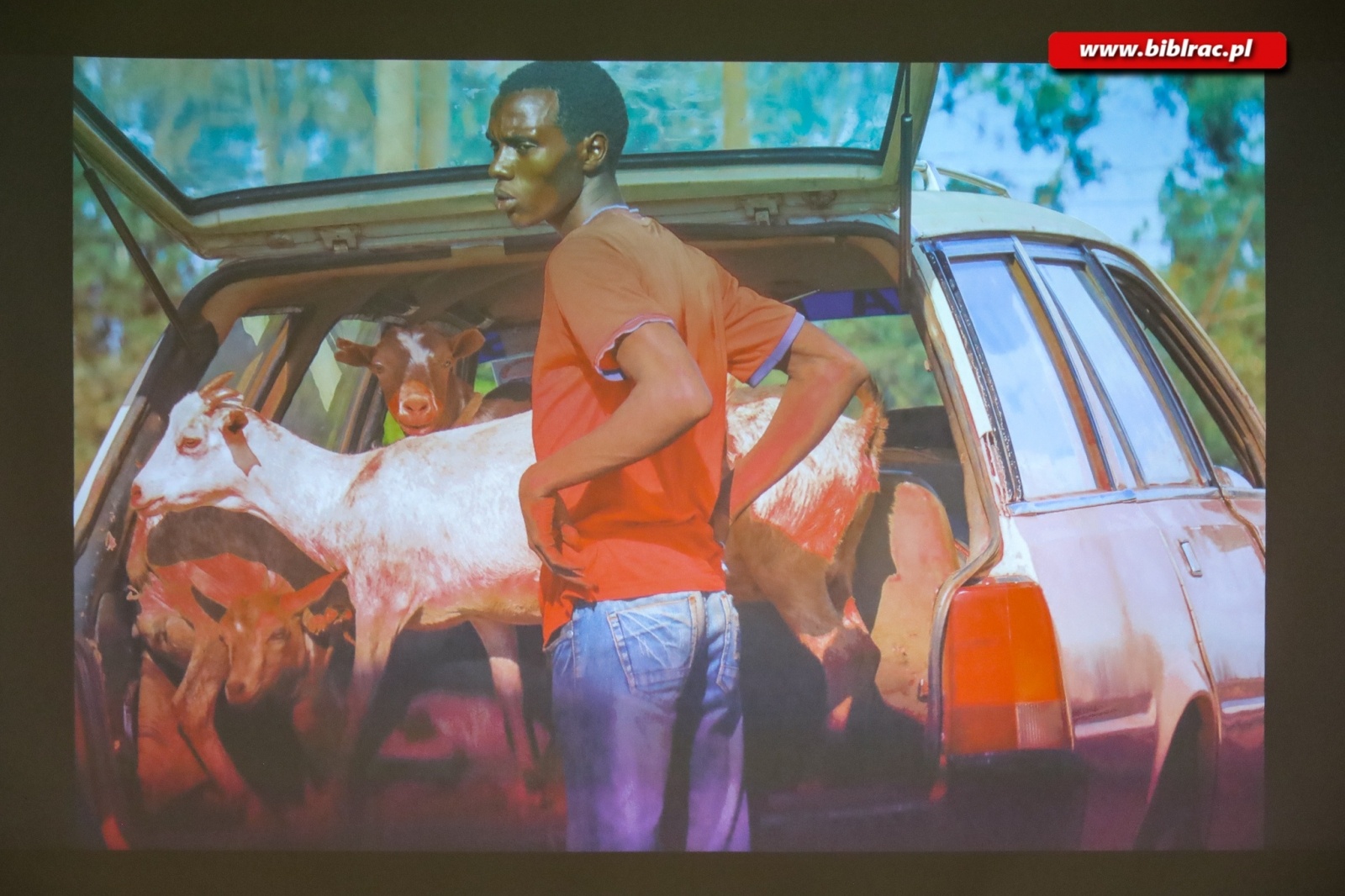 Zdjęcie w galerii na portalu naszraciborz.pl: Afrykańska podróż marzeń w bibliotece wiadomości z regionu