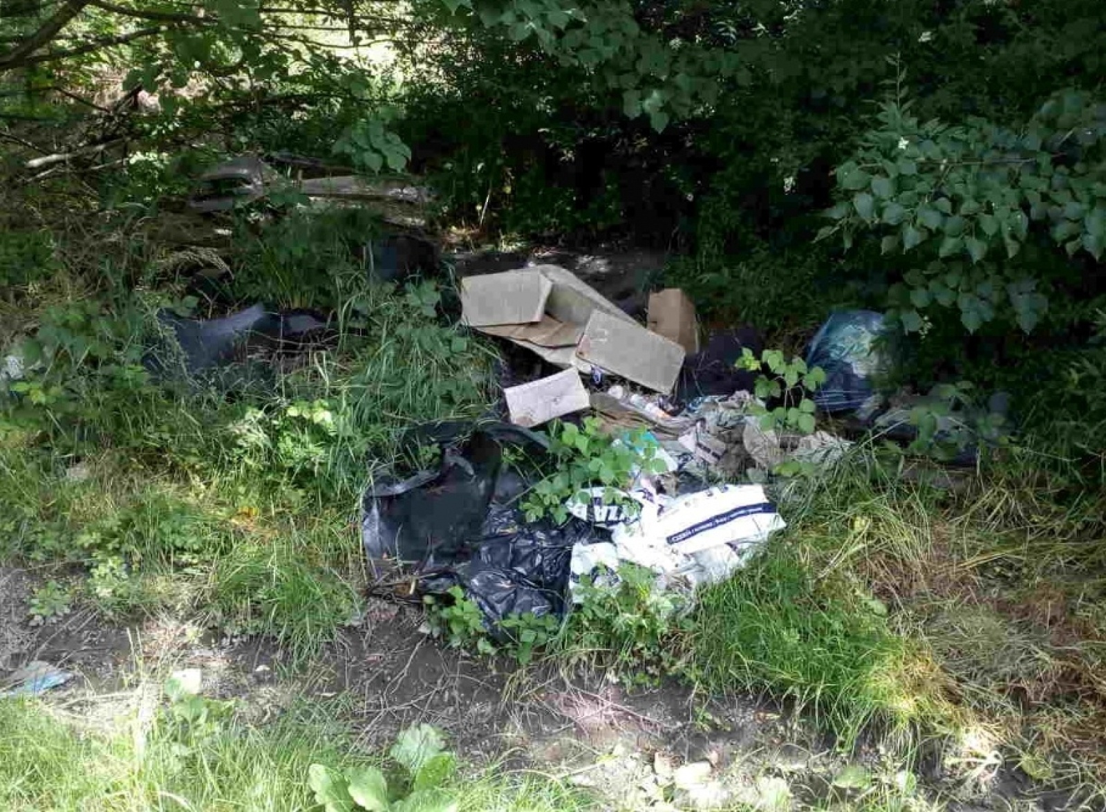 Zdjęcie w galerii na portalu naszraciborz.pl: W czaszy zbiornika Racibórz zamontowano fotopułapki wiadomości z regionu