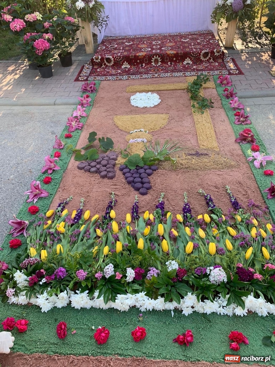 Zdjęcie w galerii na portalu naszraciborz.pl: Przygotowania do Bożego Ciała na starym mieście i Ostrogu wiadomości z regionu