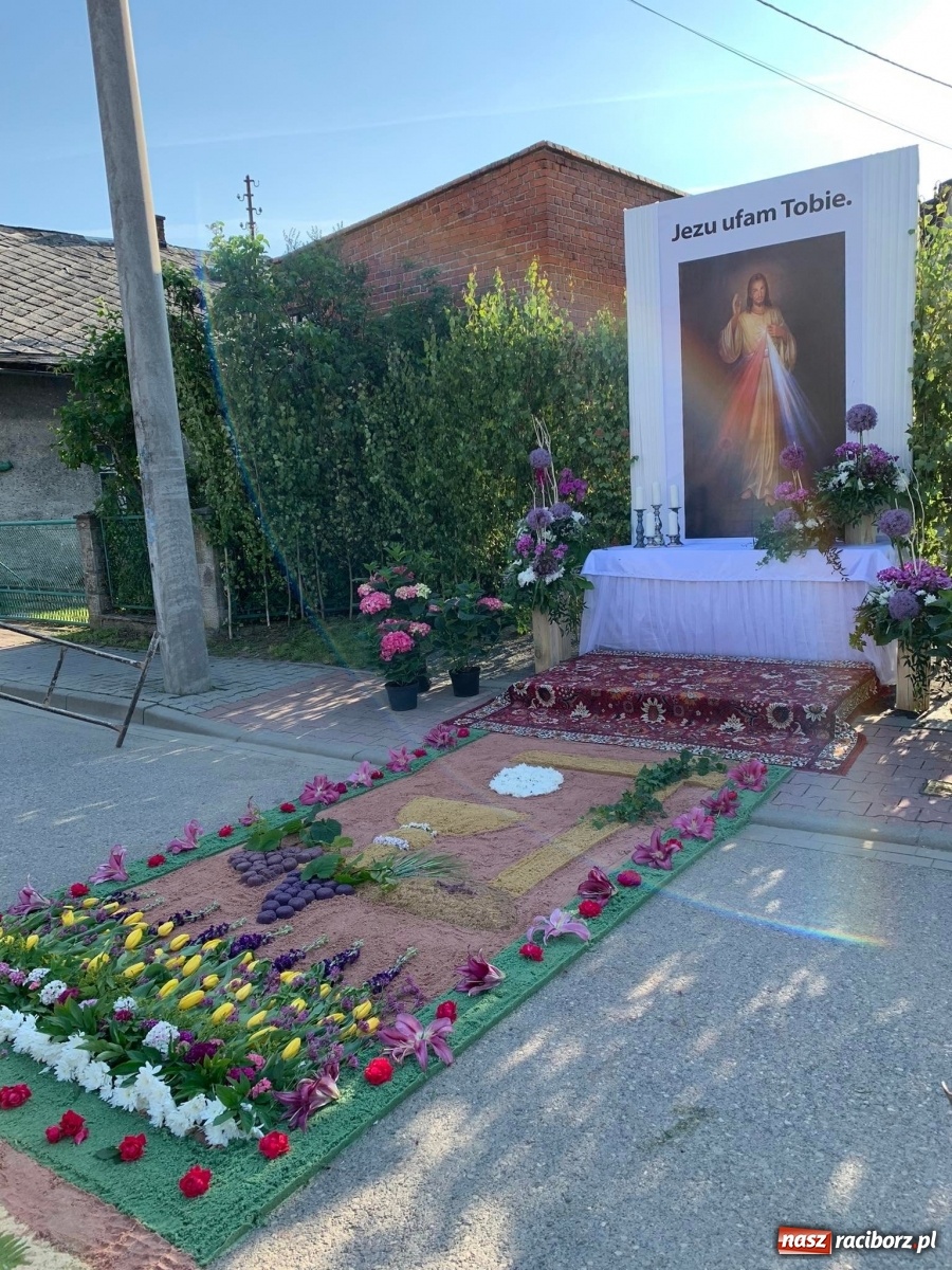 Zdjęcie w galerii na portalu naszraciborz.pl: Przygotowania do Bożego Ciała na starym mieście i Ostrogu wiadomości z regionu