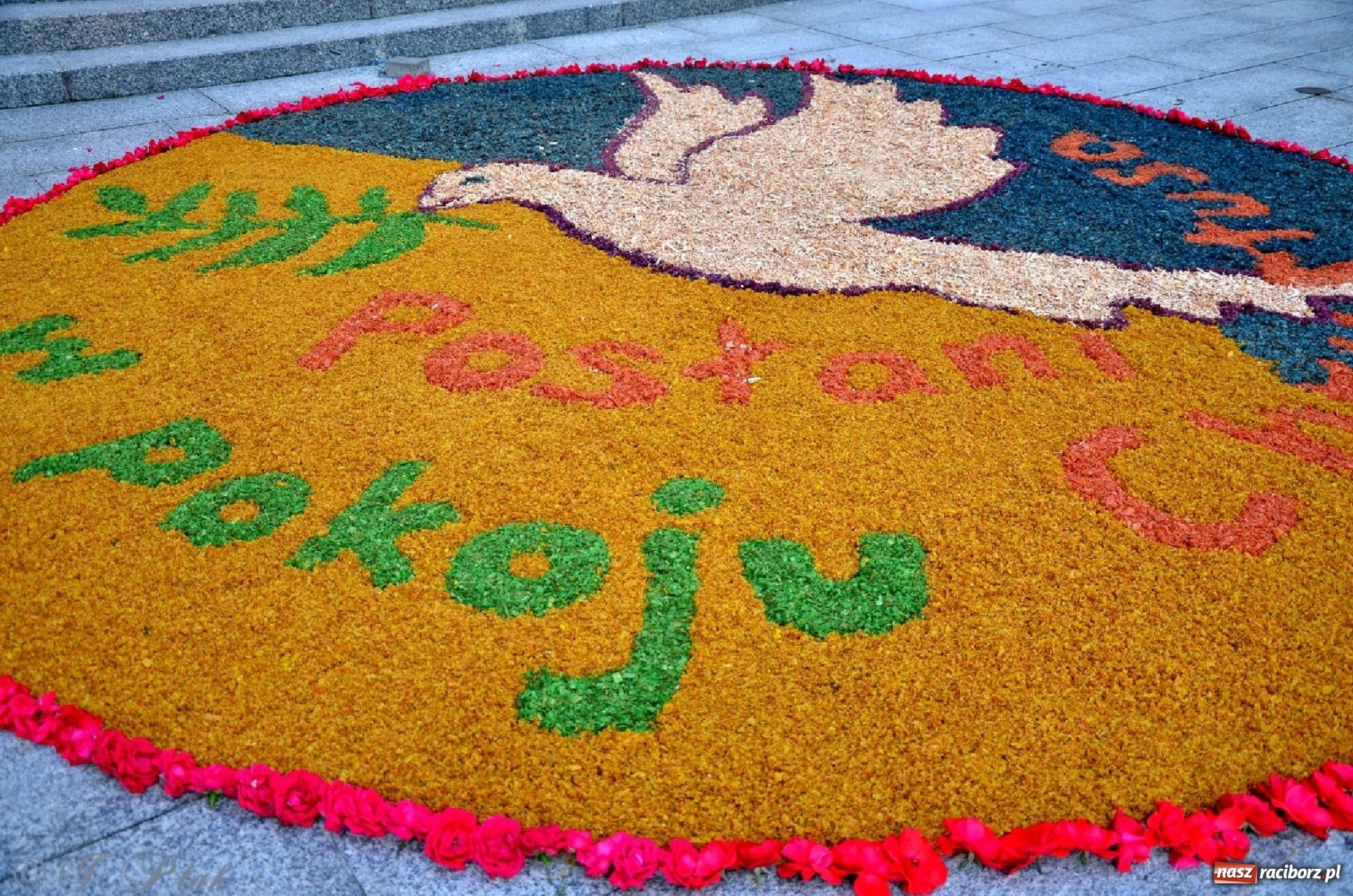 Zdjęcie w galerii na portalu naszraciborz.pl: Parafie NSPJ i Matki Bożej gotowe na Boże Ciało wiadomości z regionu