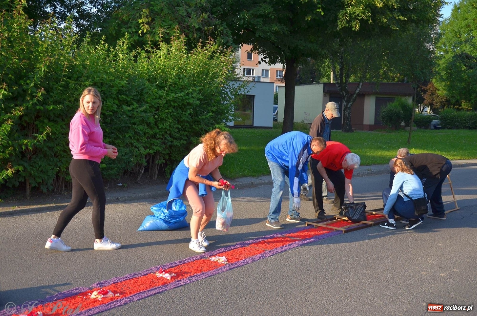 Zdjęcie w galerii na portalu naszraciborz.pl: Parafie NSPJ i Matki Bożej gotowe na Boże Ciało wiadomości z regionu