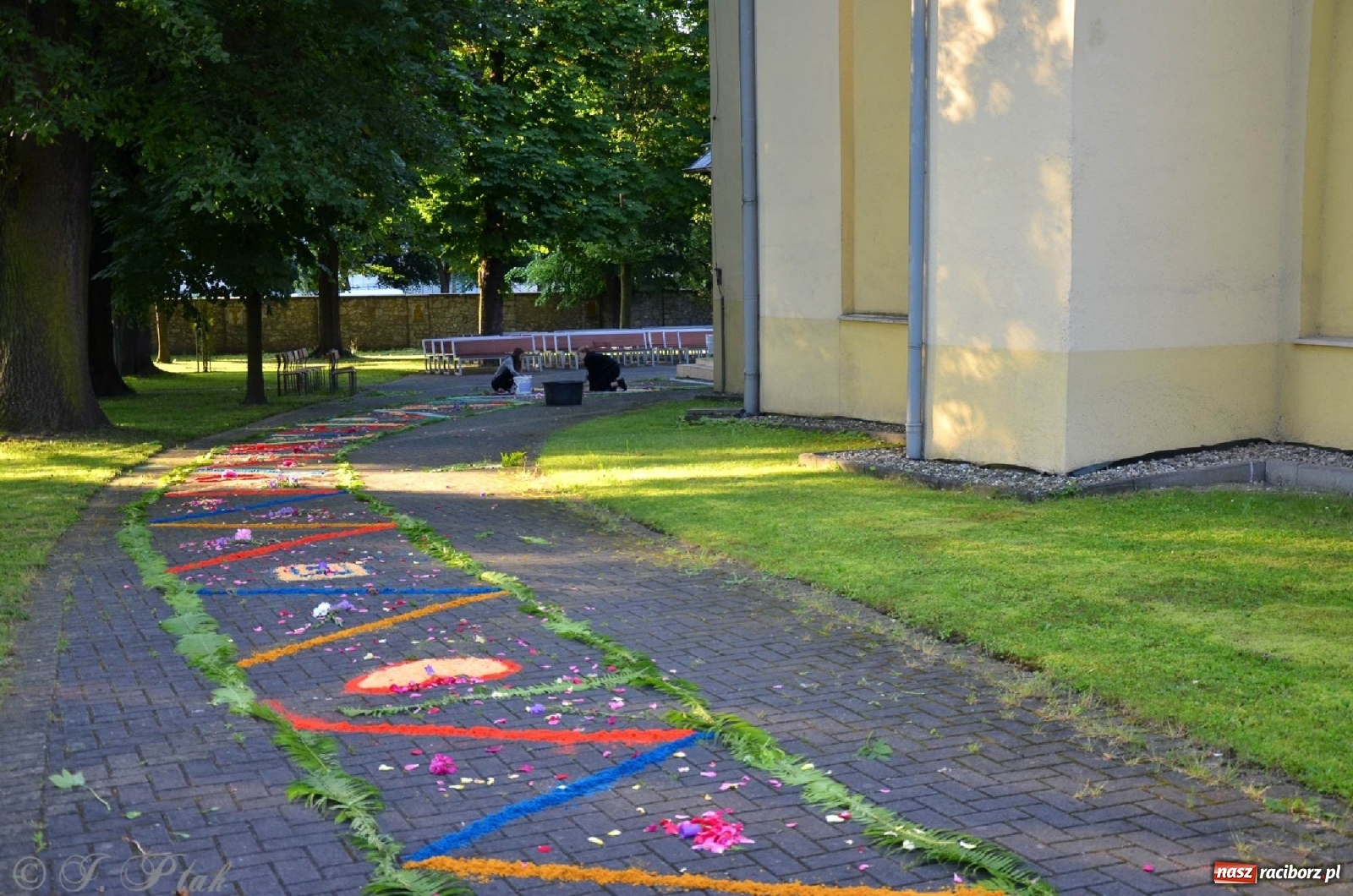 Zdjęcie w galerii na portalu naszraciborz.pl: Parafie NSPJ i Matki Bożej gotowe na Boże Ciało wiadomości z regionu