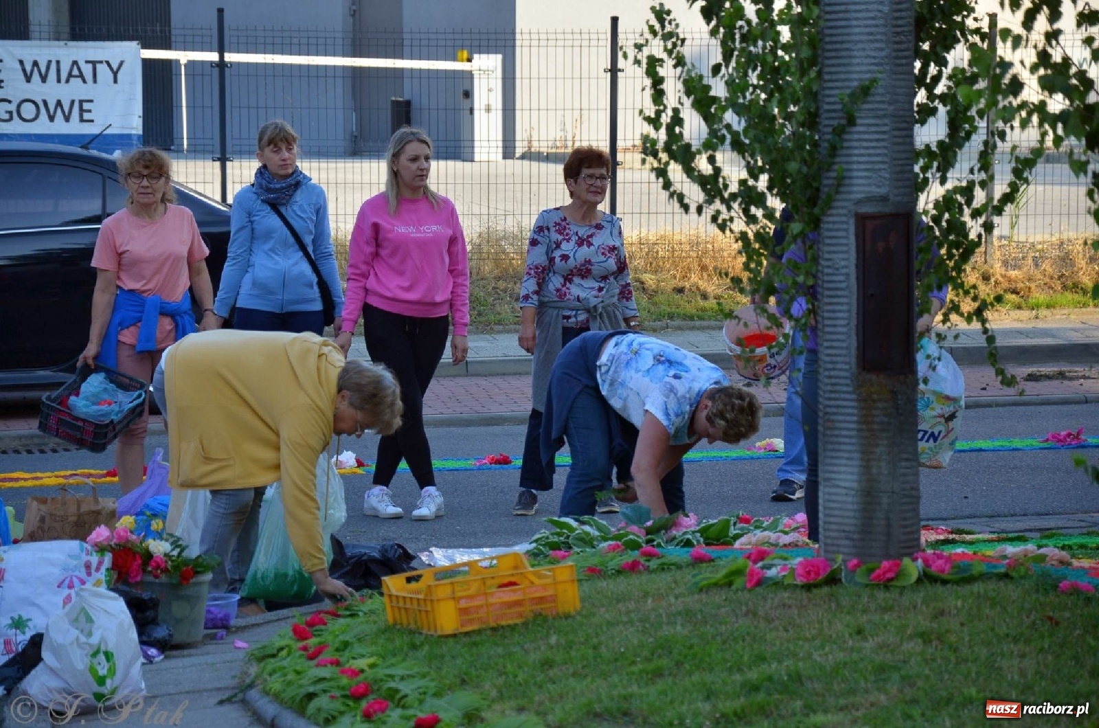 Zdjęcie w galerii na portalu naszraciborz.pl: Parafie NSPJ i Matki Bożej gotowe na Boże Ciało wiadomości z regionu