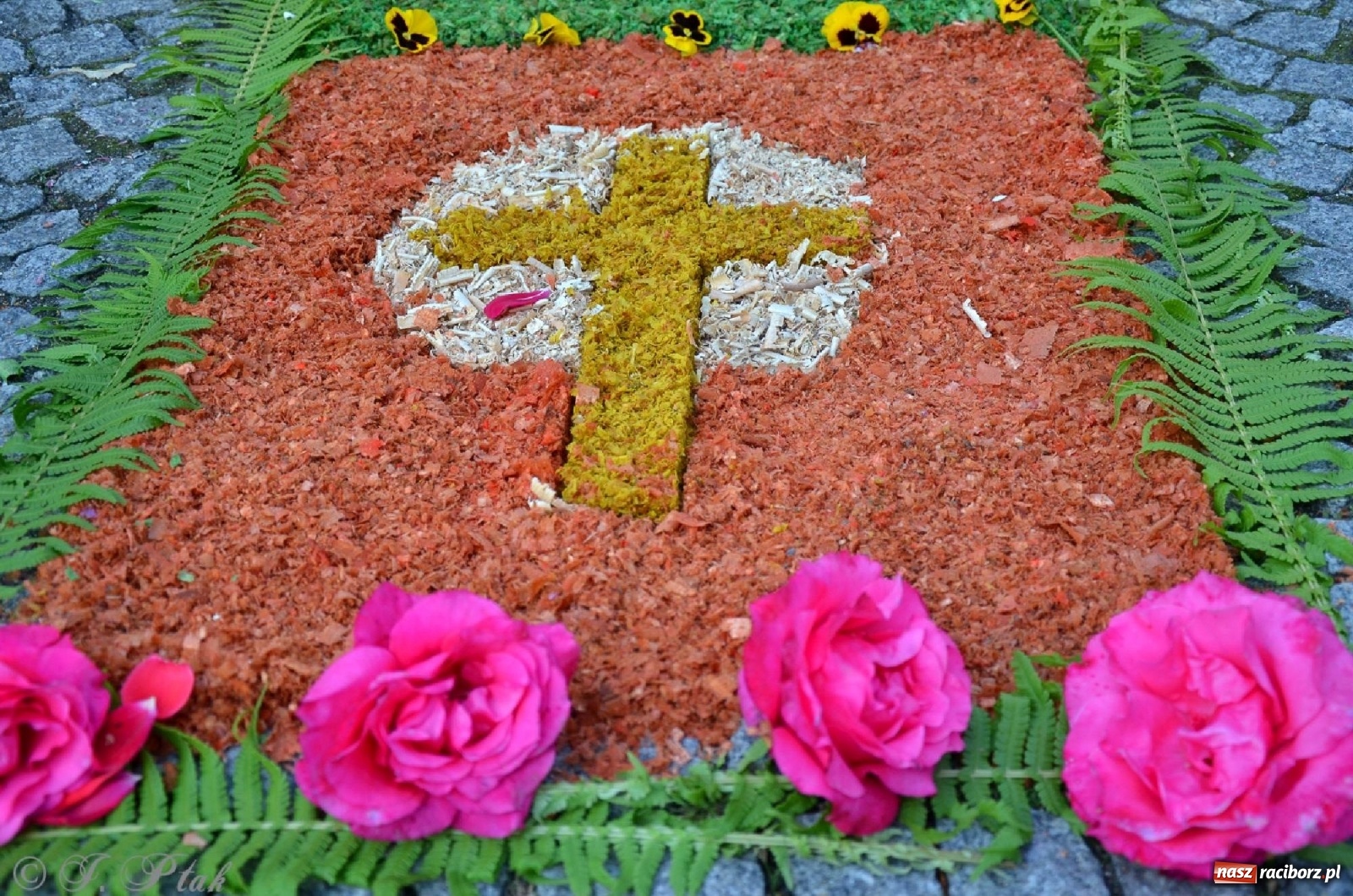 Zdjęcie w galerii na portalu naszraciborz.pl: Parafie NSPJ i Matki Bożej gotowe na Boże Ciało wiadomości z regionu