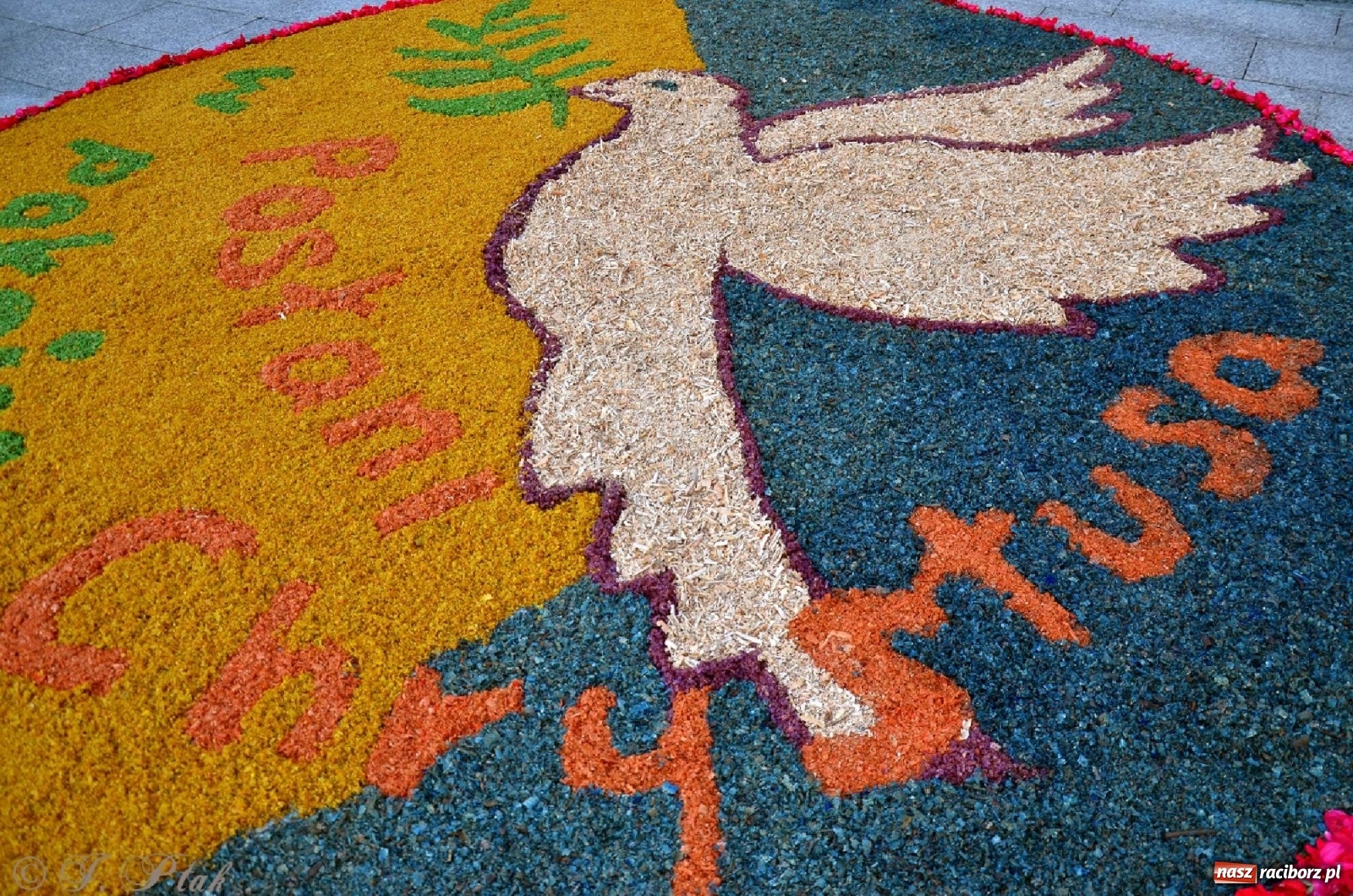 Zdjęcie w galerii na portalu naszraciborz.pl: Parafie NSPJ i Matki Bożej gotowe na Boże Ciało wiadomości z regionu