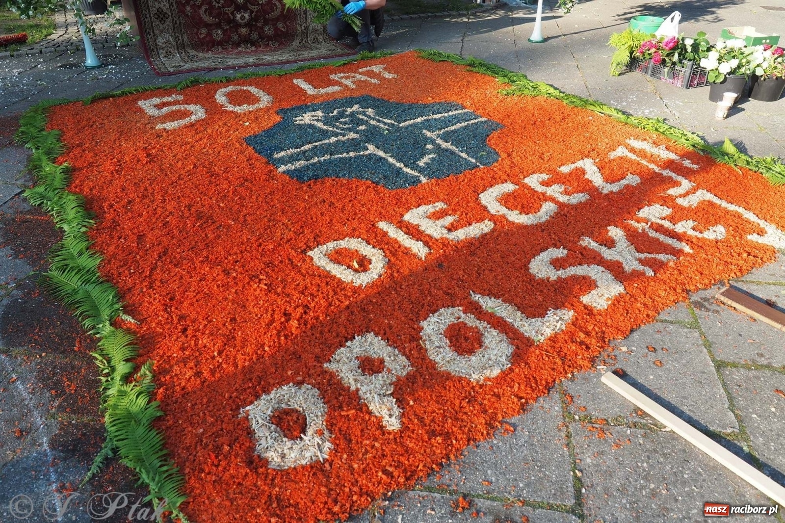 Zdjęcie w galerii na portalu naszraciborz.pl: Parafie NSPJ i Matki Bożej gotowe na Boże Ciało wiadomości z regionu