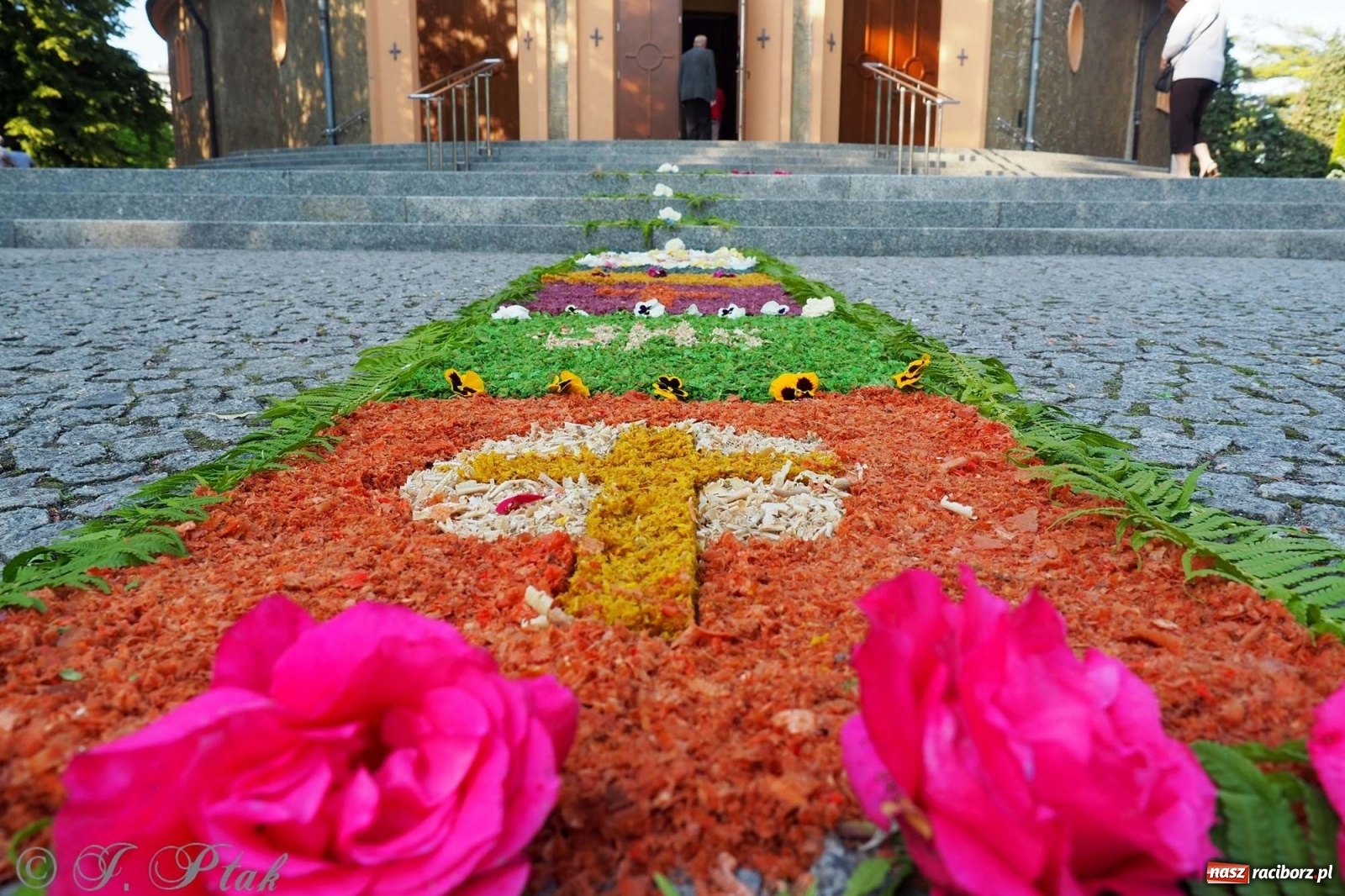 Zdjęcie w galerii na portalu naszraciborz.pl: Parafie NSPJ i Matki Bożej gotowe na Boże Ciało wiadomości z regionu