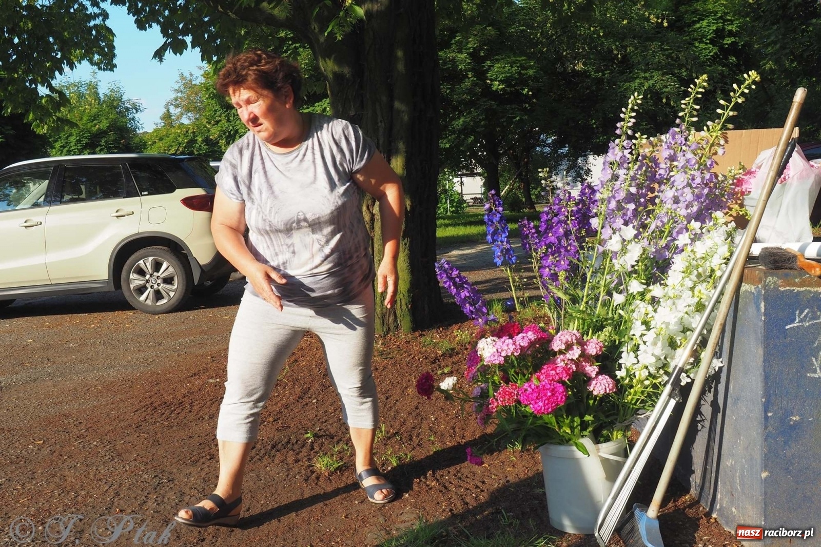 Zdjęcie w galerii na portalu naszraciborz.pl: Parafie NSPJ i Matki Bożej gotowe na Boże Ciało wiadomości z regionu