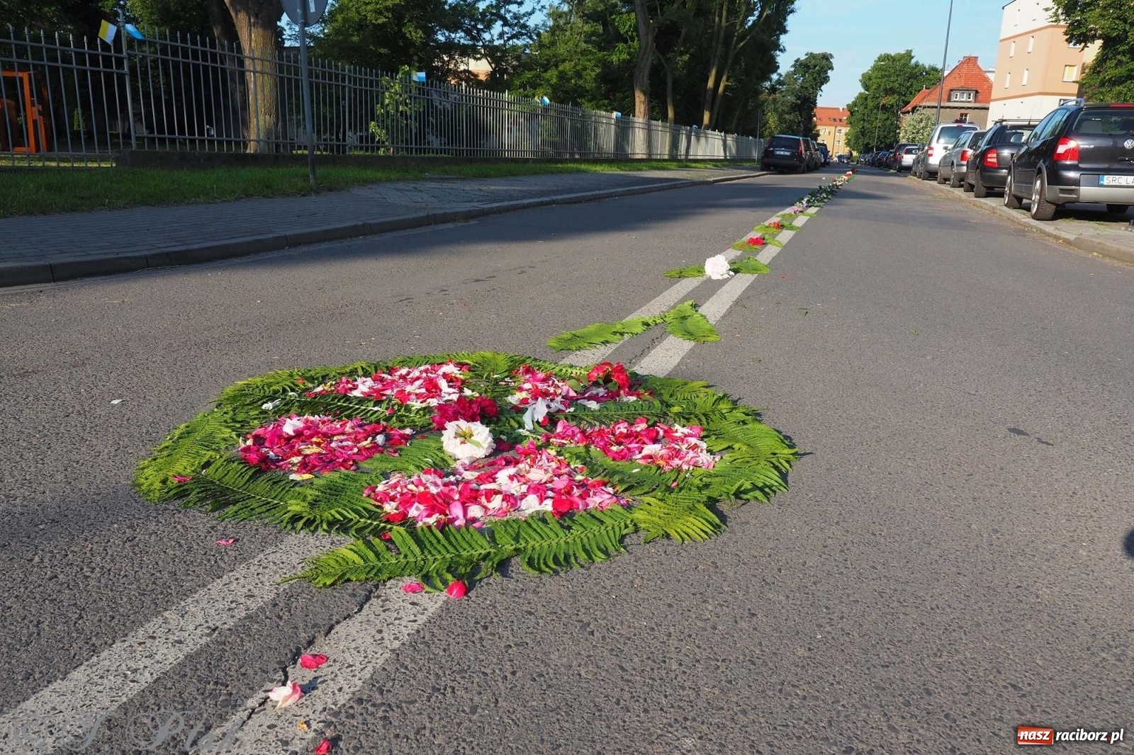 Zdjęcie w galerii na portalu naszraciborz.pl: Parafie NSPJ i Matki Bożej gotowe na Boże Ciało wiadomości z regionu
