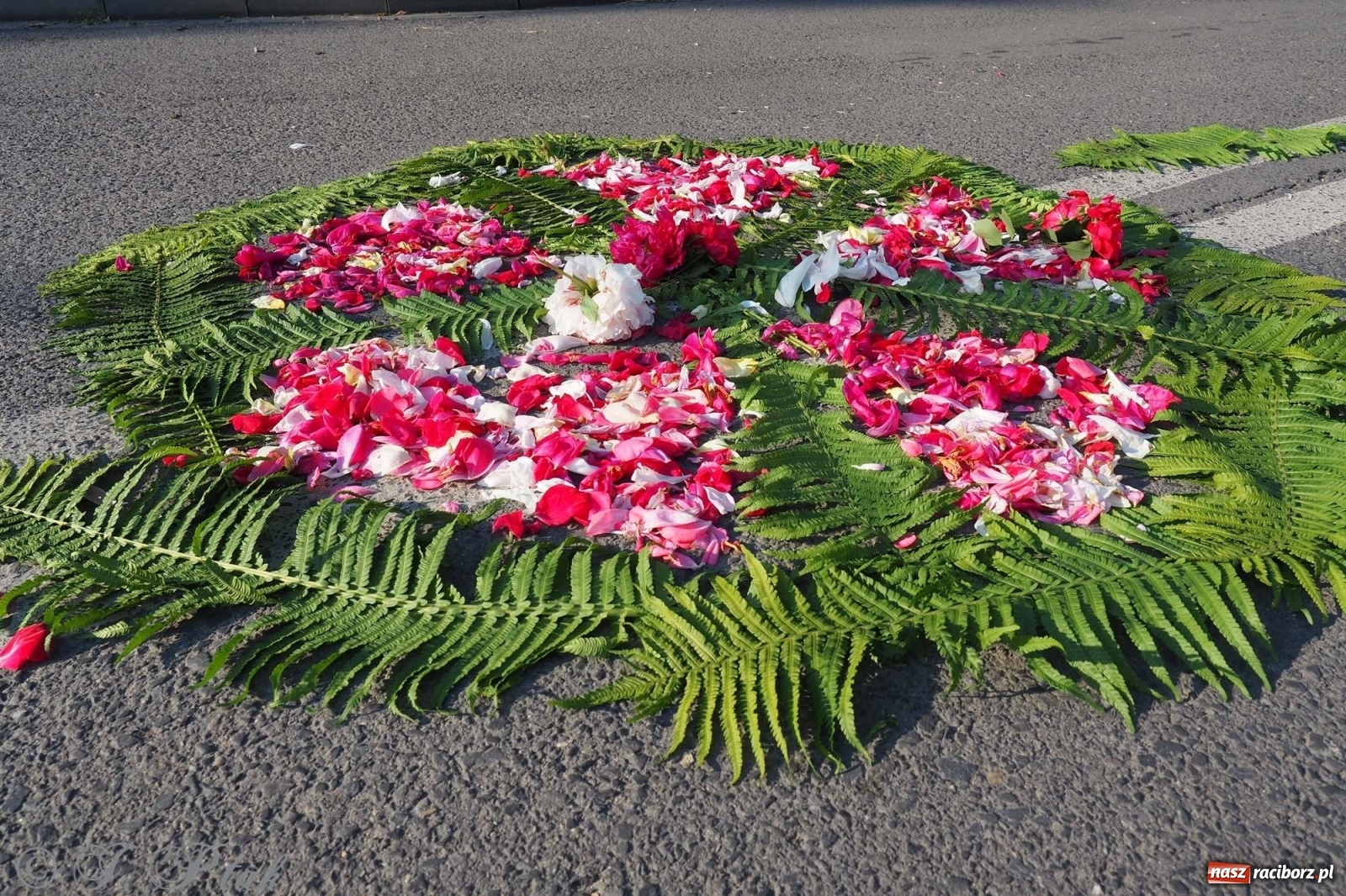 Zdjęcie w galerii na portalu naszraciborz.pl: Parafie NSPJ i Matki Bożej gotowe na Boże Ciało wiadomości z regionu