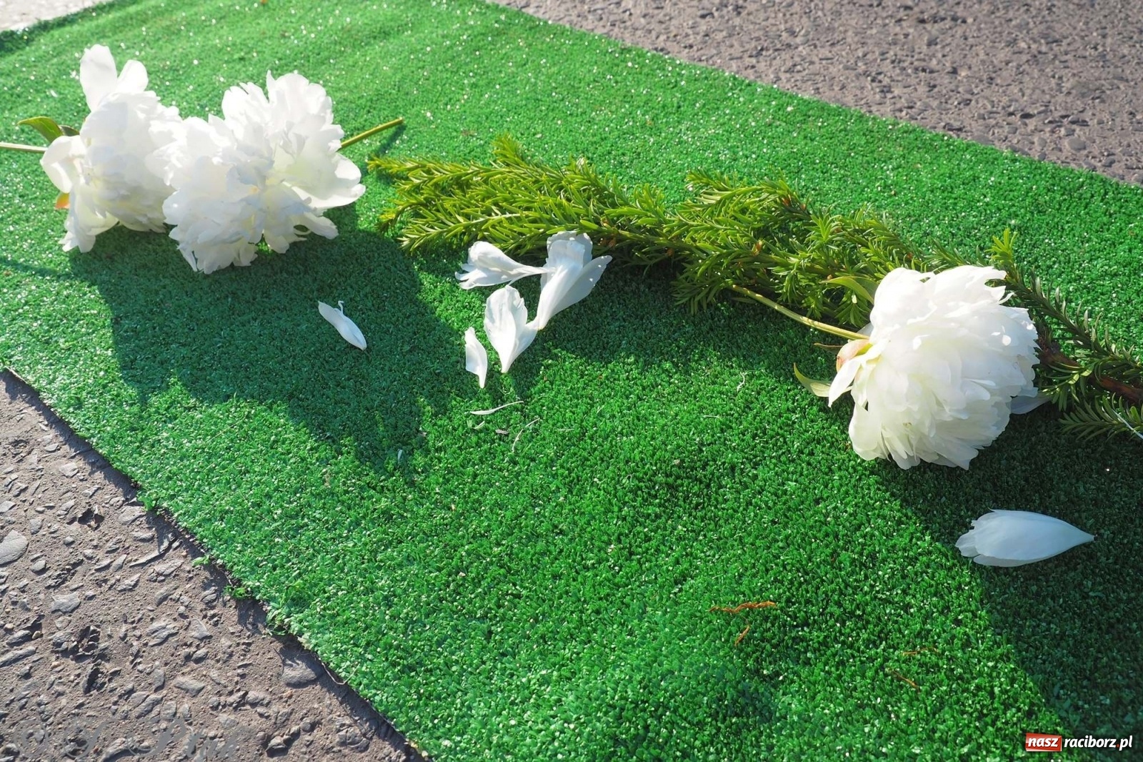 Zdjęcie w galerii na portalu naszraciborz.pl: Parafie NSPJ i Matki Bożej gotowe na Boże Ciało wiadomości z regionu