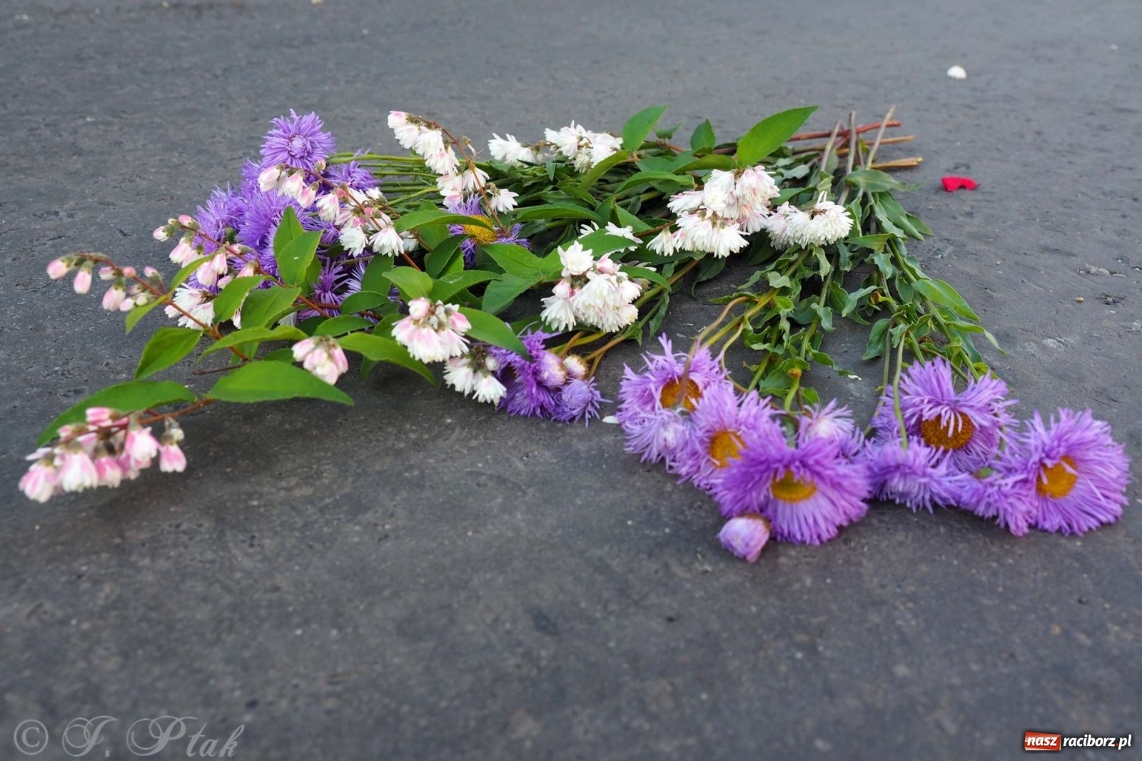 Zdjęcie w galerii na portalu naszraciborz.pl: Parafie NSPJ i Matki Bożej gotowe na Boże Ciało wiadomości z regionu