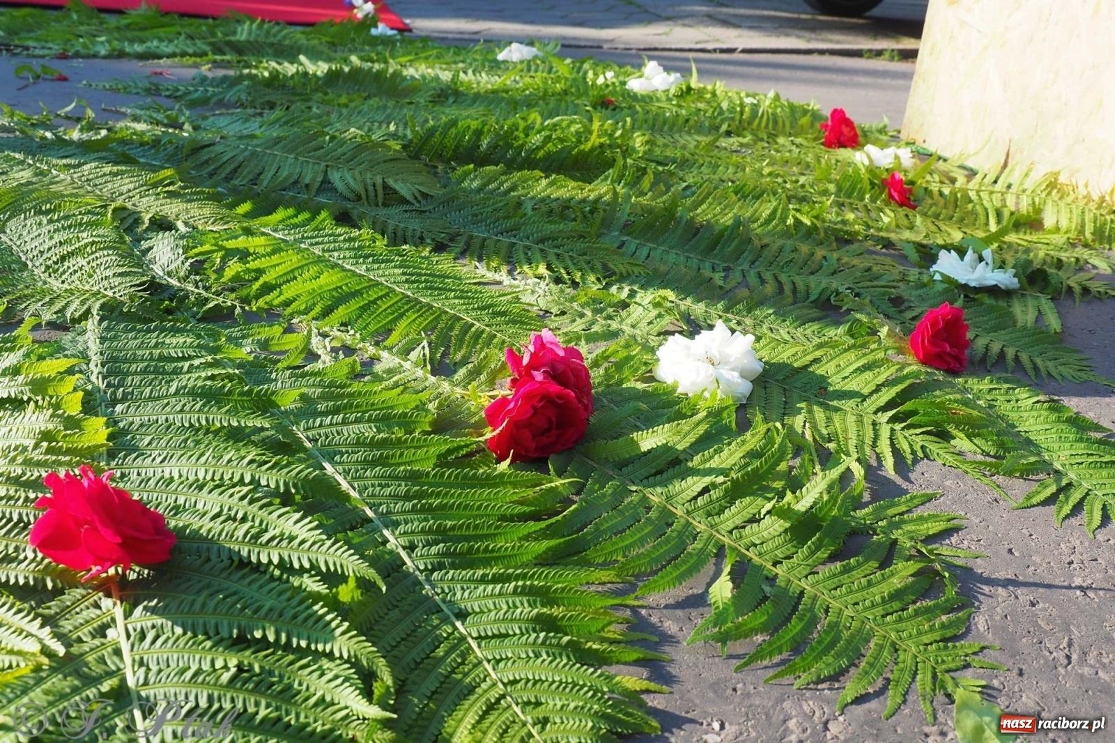 Zdjęcie w galerii na portalu naszraciborz.pl: Parafie NSPJ i Matki Bożej gotowe na Boże Ciało wiadomości z regionu