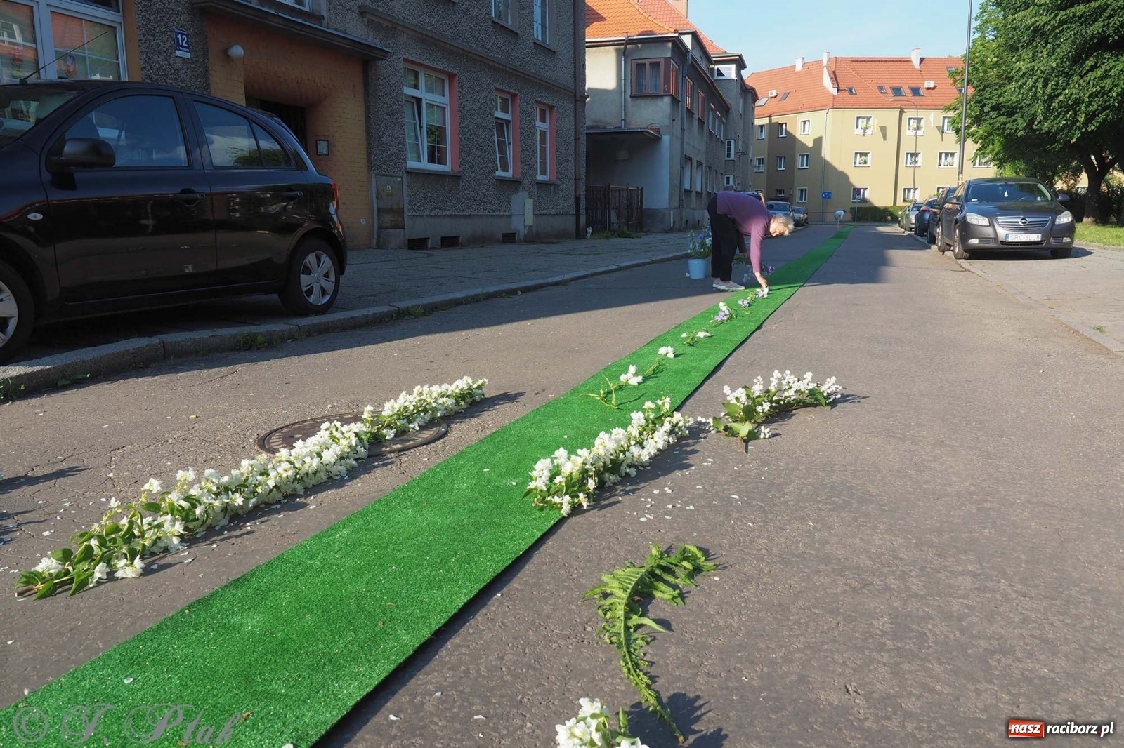 Zdjęcie w galerii na portalu naszraciborz.pl: Parafie NSPJ i Matki Bożej gotowe na Boże Ciało wiadomości z regionu