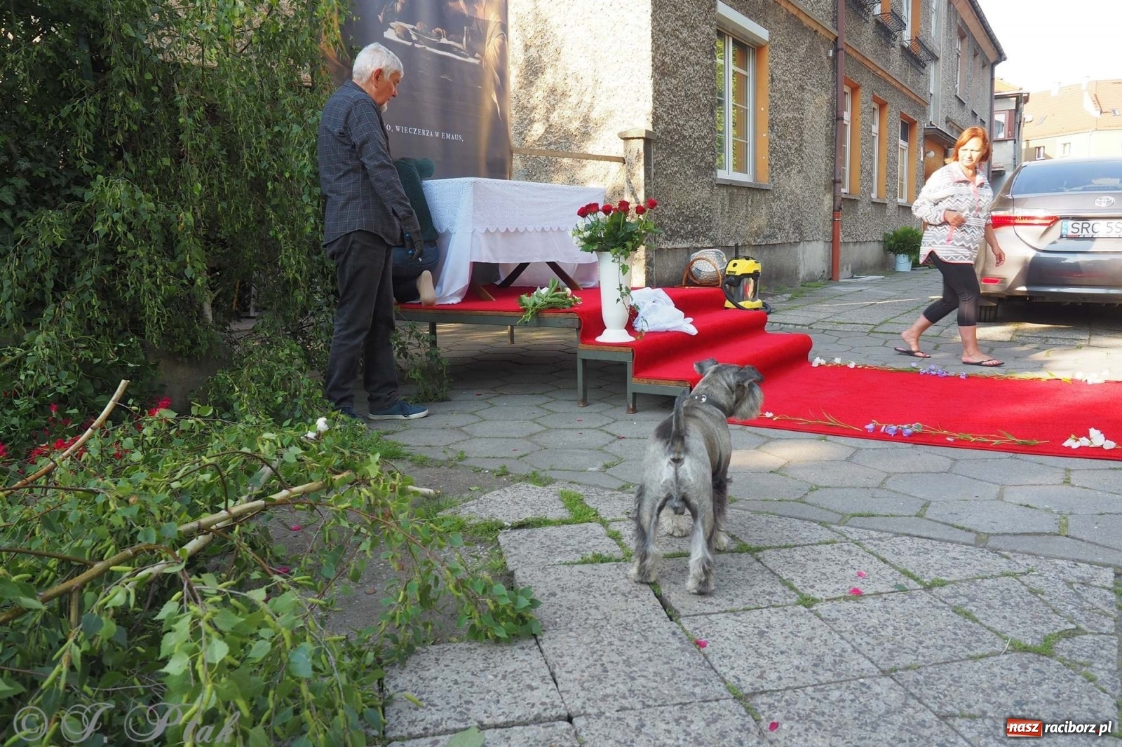 Zdjęcie w galerii na portalu naszraciborz.pl: Parafie NSPJ i Matki Bożej gotowe na Boże Ciało wiadomości z regionu