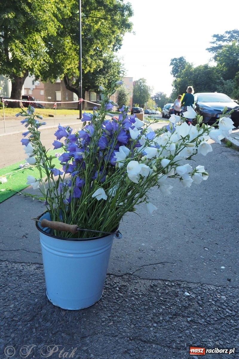 Zdjęcie w galerii na portalu naszraciborz.pl: Parafie NSPJ i Matki Bożej gotowe na Boże Ciało wiadomości z regionu