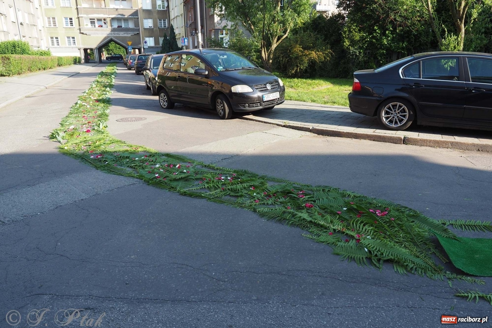 Zdjęcie w galerii na portalu naszraciborz.pl: Parafie NSPJ i Matki Bożej gotowe na Boże Ciało wiadomości z regionu