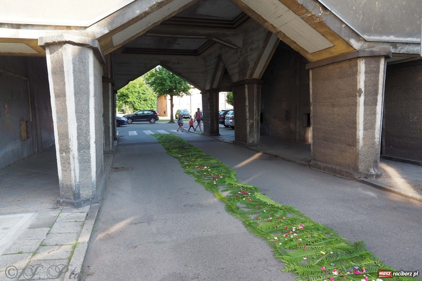 Zdjęcie w galerii na portalu naszraciborz.pl: Parafie NSPJ i Matki Bożej gotowe na Boże Ciało wiadomości z regionu