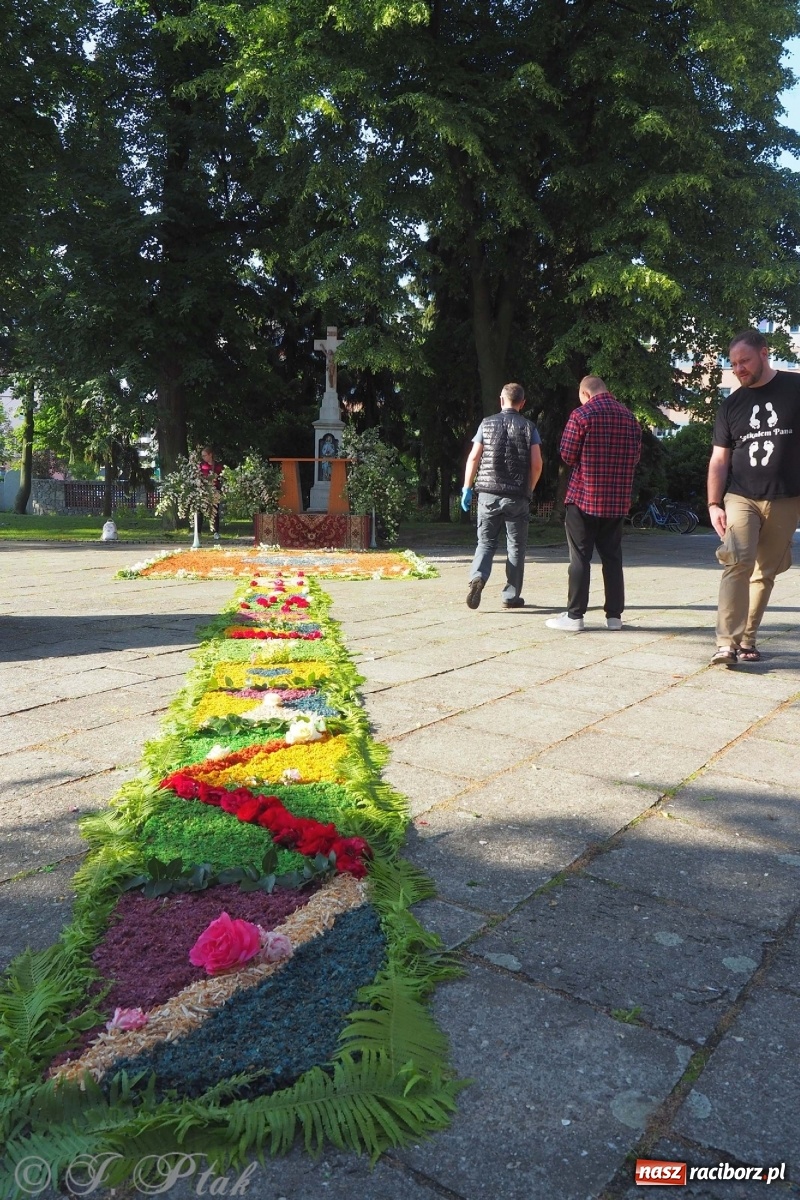 Zdjęcie w galerii na portalu naszraciborz.pl: Parafie NSPJ i Matki Bożej gotowe na Boże Ciało wiadomości z regionu