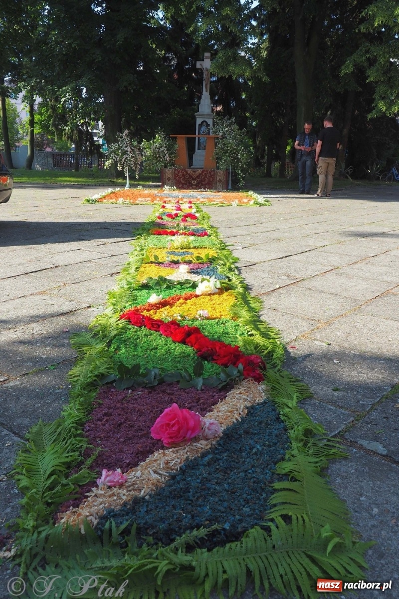 Zdjęcie w galerii na portalu naszraciborz.pl: Parafie NSPJ i Matki Bożej gotowe na Boże Ciało wiadomości z regionu