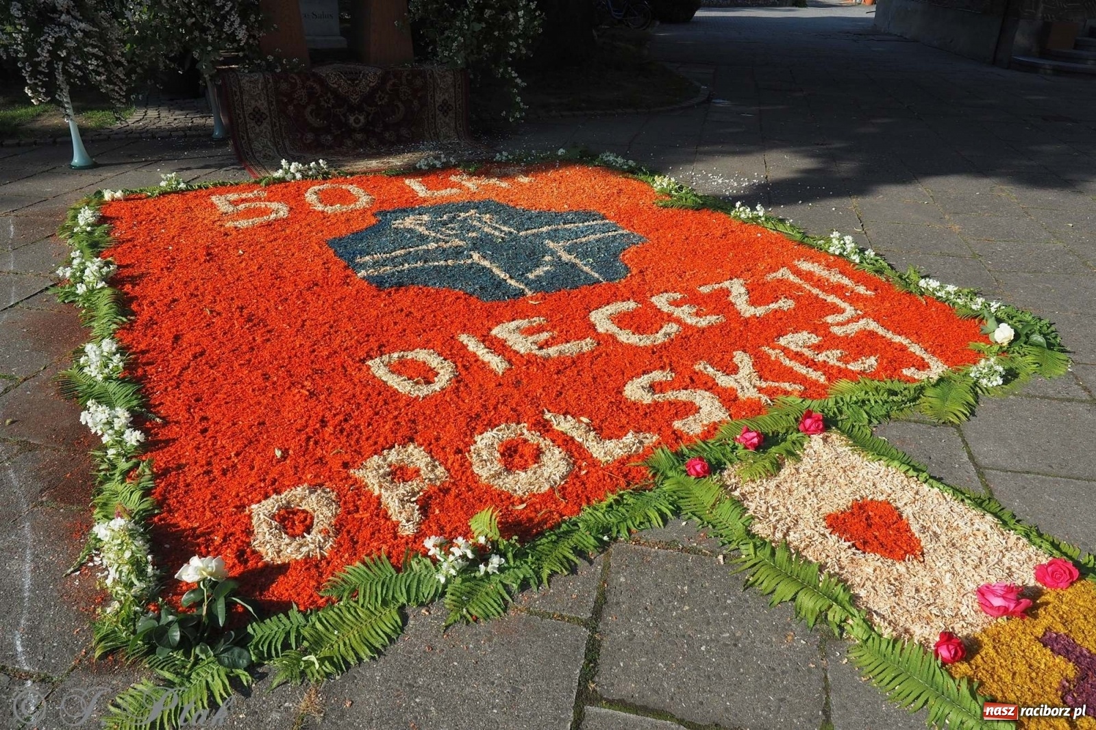Zdjęcie w galerii na portalu naszraciborz.pl: Parafie NSPJ i Matki Bożej gotowe na Boże Ciało wiadomości z regionu