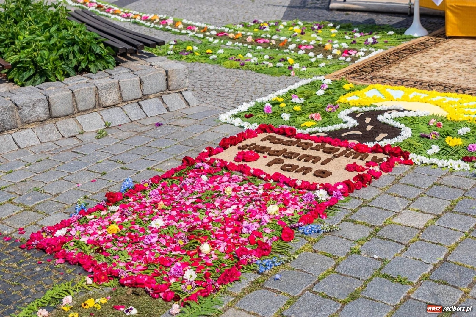 Zdjęcie w galerii na portalu naszraciborz.pl: Boże Ciało na starym mieście w Raciborzu [FOTO i WIDEO] wiadomości z regionu