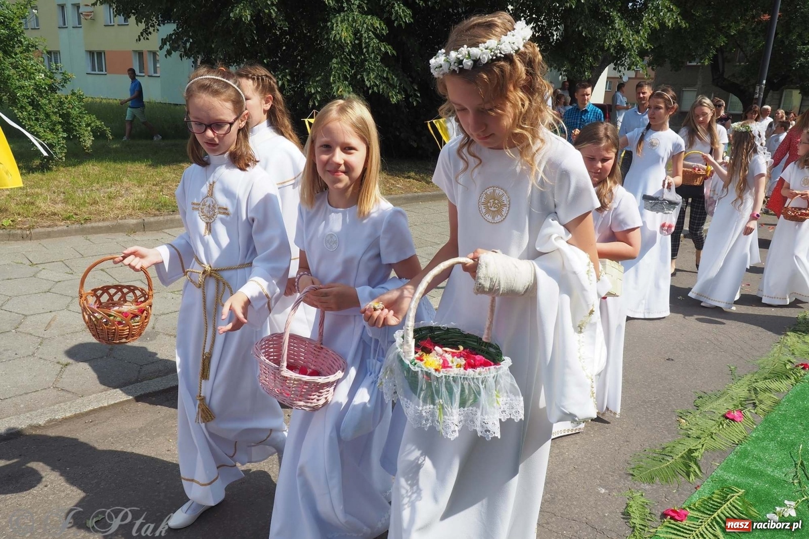 Zdjęcie w galerii na portalu naszraciborz.pl: Boże Ciało w największej raciborskiej parafii [FOTO i WIDEO] wiadomości z regionu