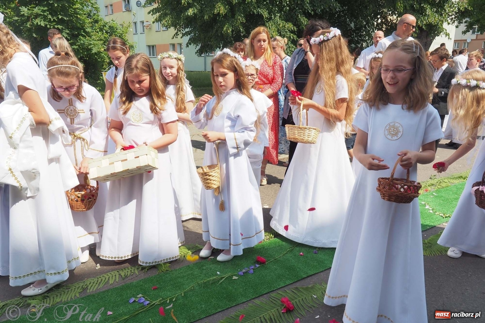 Zdjęcie w galerii na portalu naszraciborz.pl: Boże Ciało w największej raciborskiej parafii [FOTO i WIDEO] wiadomości z regionu