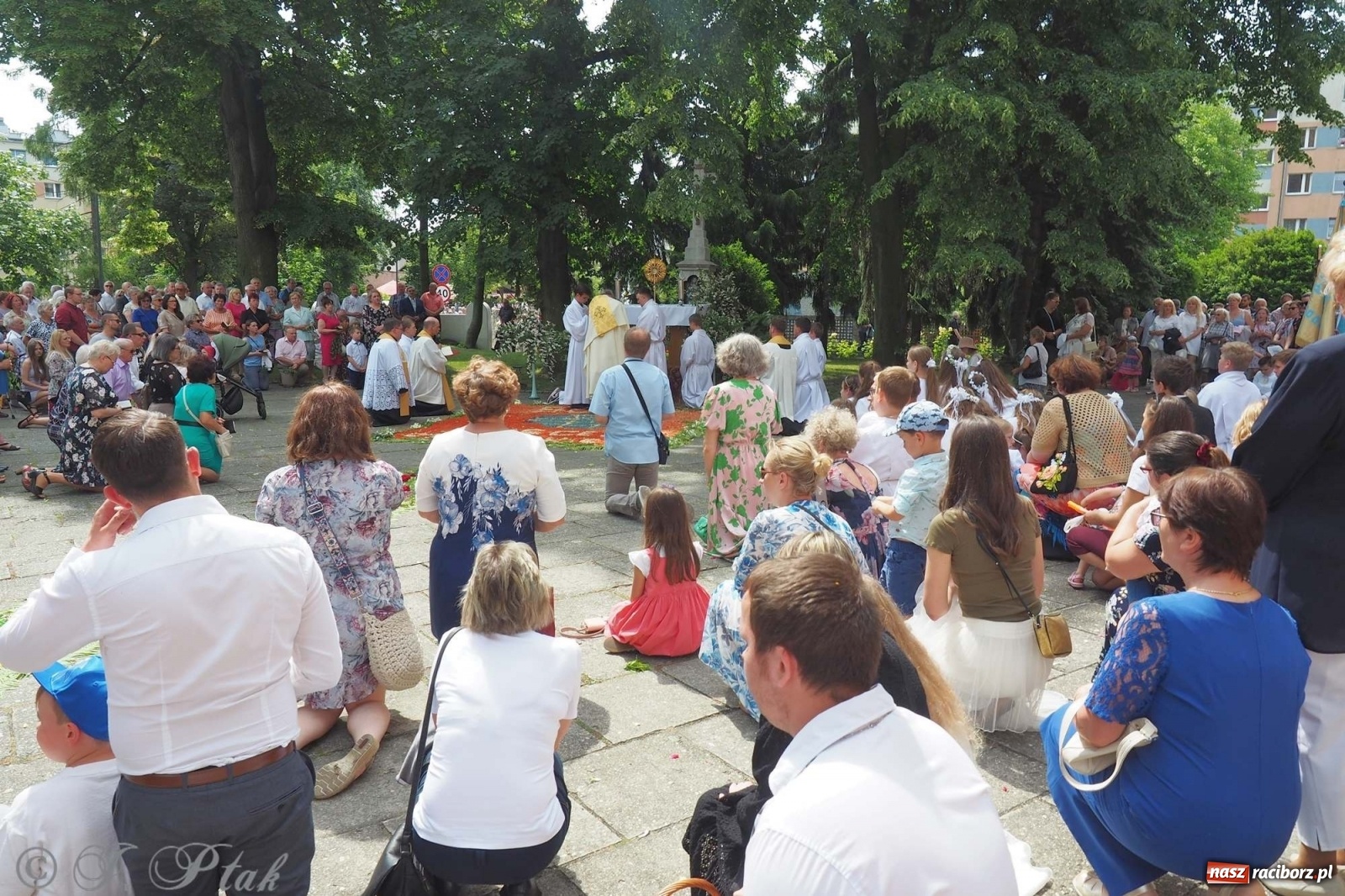 Zdjęcie w galerii na portalu naszraciborz.pl: Boże Ciało w największej raciborskiej parafii [FOTO i WIDEO] wiadomości z regionu
