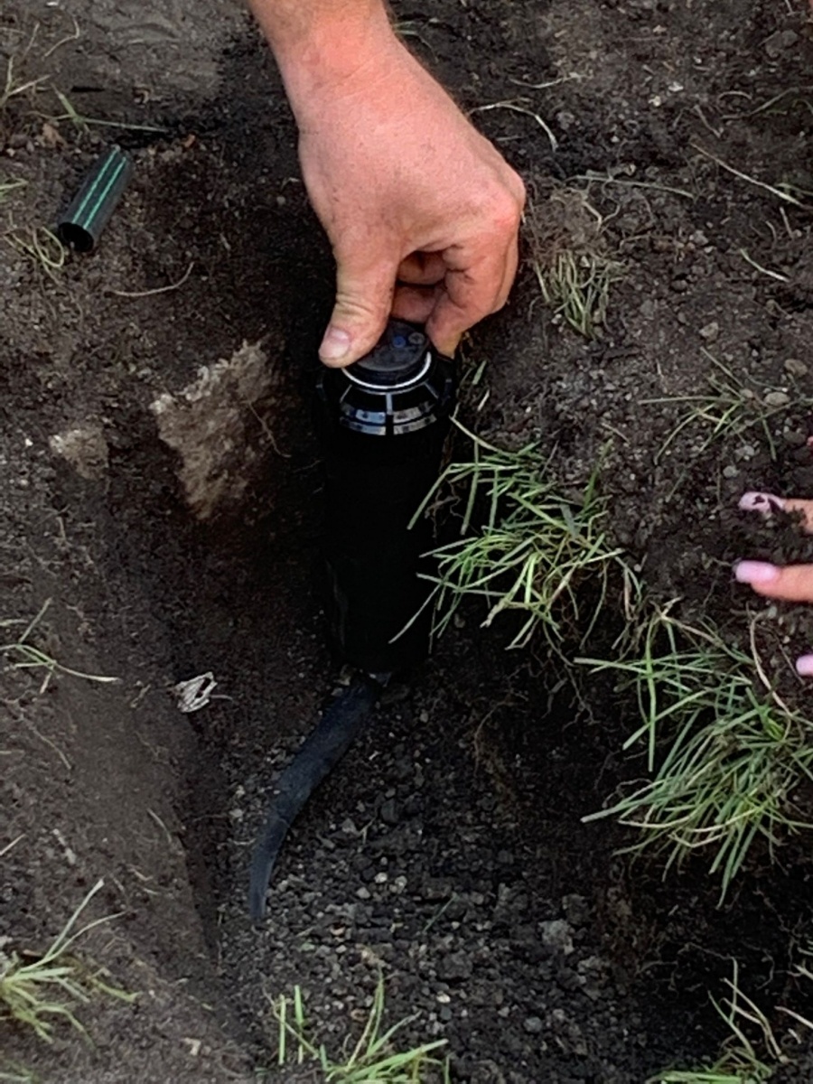 Zdjęcie w galerii na portalu naszraciborz.pl: System automatycznego nawadniania w CKZiU nr 1 w Raciborzu wiadomości z regionu