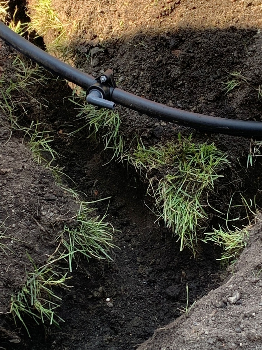 Zdjęcie w galerii na portalu naszraciborz.pl: System automatycznego nawadniania w CKZiU nr 1 w Raciborzu wiadomości z regionu