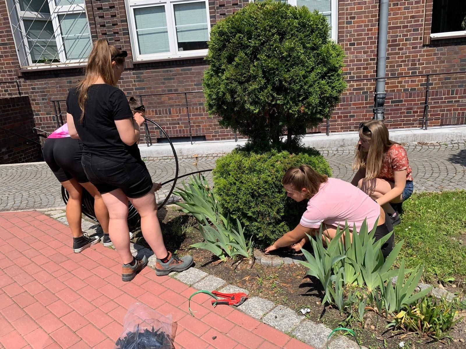 Zdjęcie w galerii na portalu naszraciborz.pl: System automatycznego nawadniania w CKZiU nr 1 w Raciborzu wiadomości z regionu