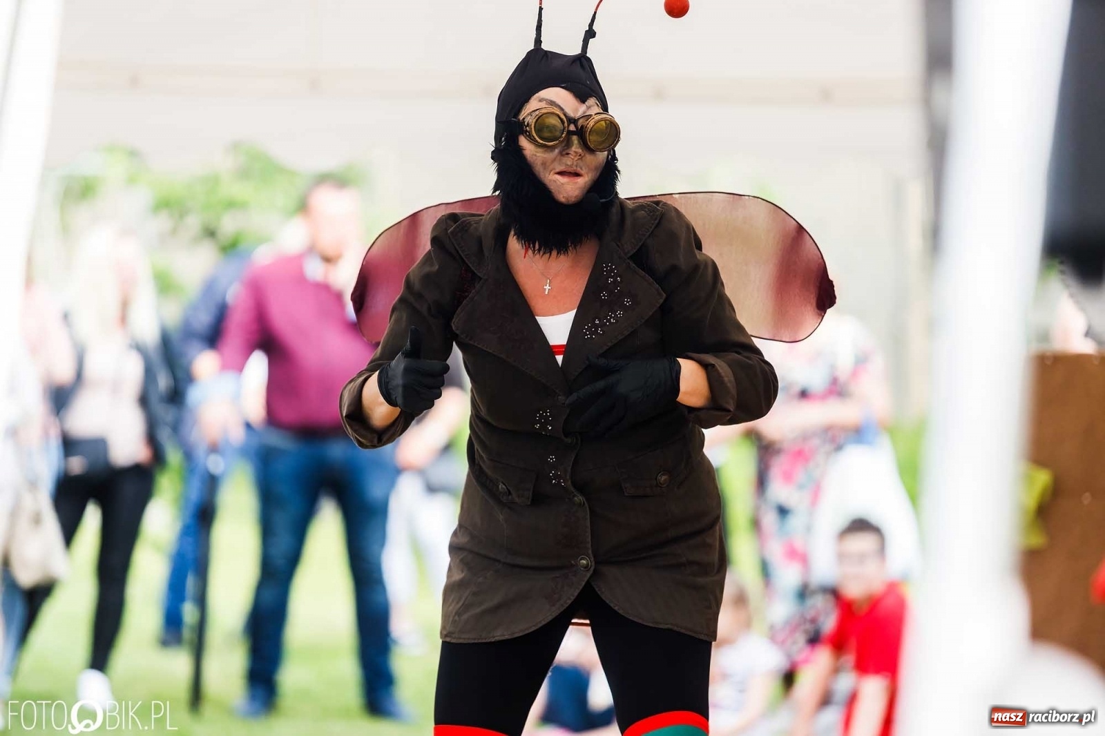 Zdjęcie w galerii na portalu naszraciborz.pl: Festyn rodzinny z Calineczką w Studziennej wiadomości z regionu