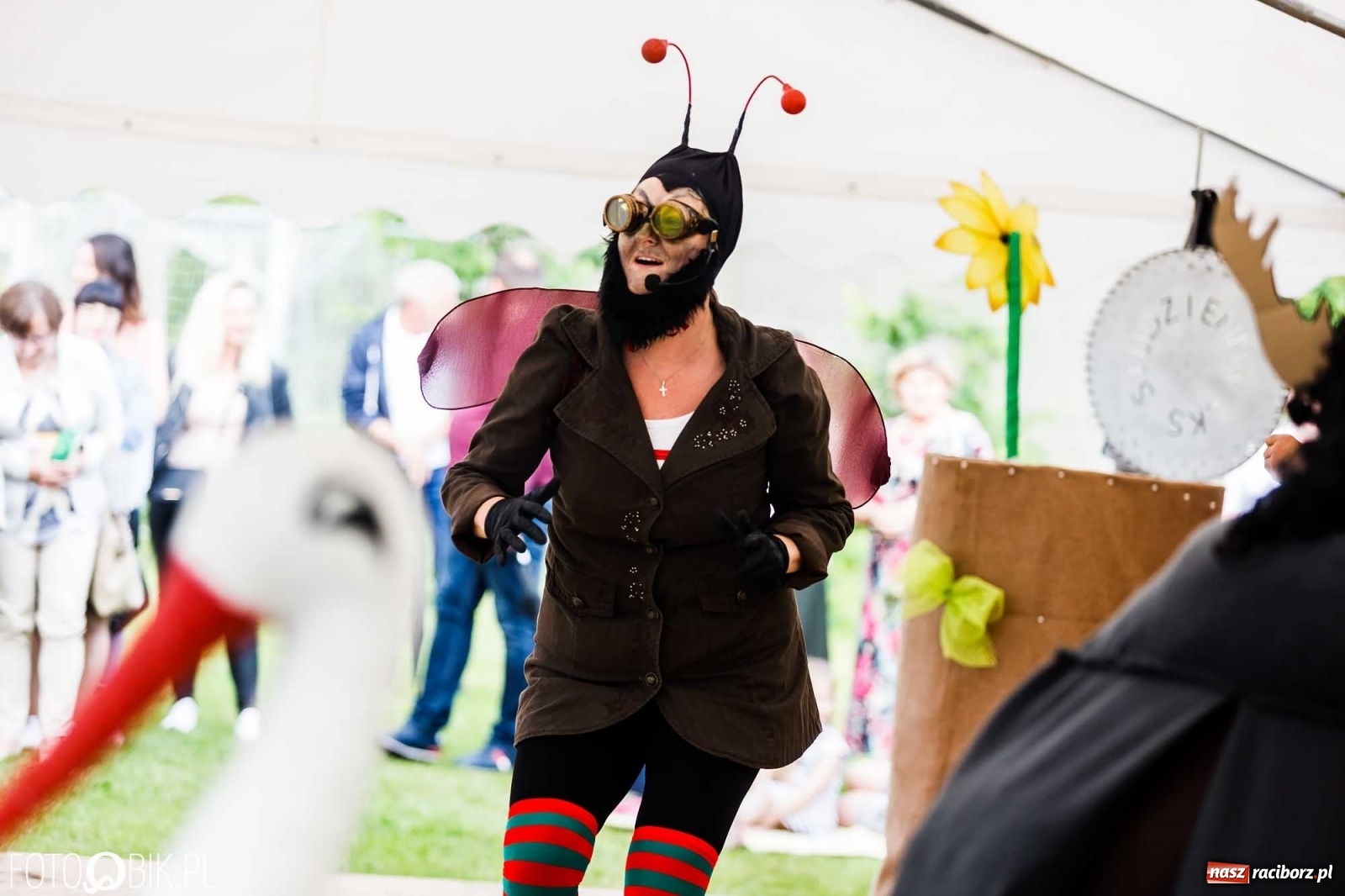 Zdjęcie w galerii na portalu naszraciborz.pl: Festyn rodzinny z Calineczką w Studziennej wiadomości z regionu