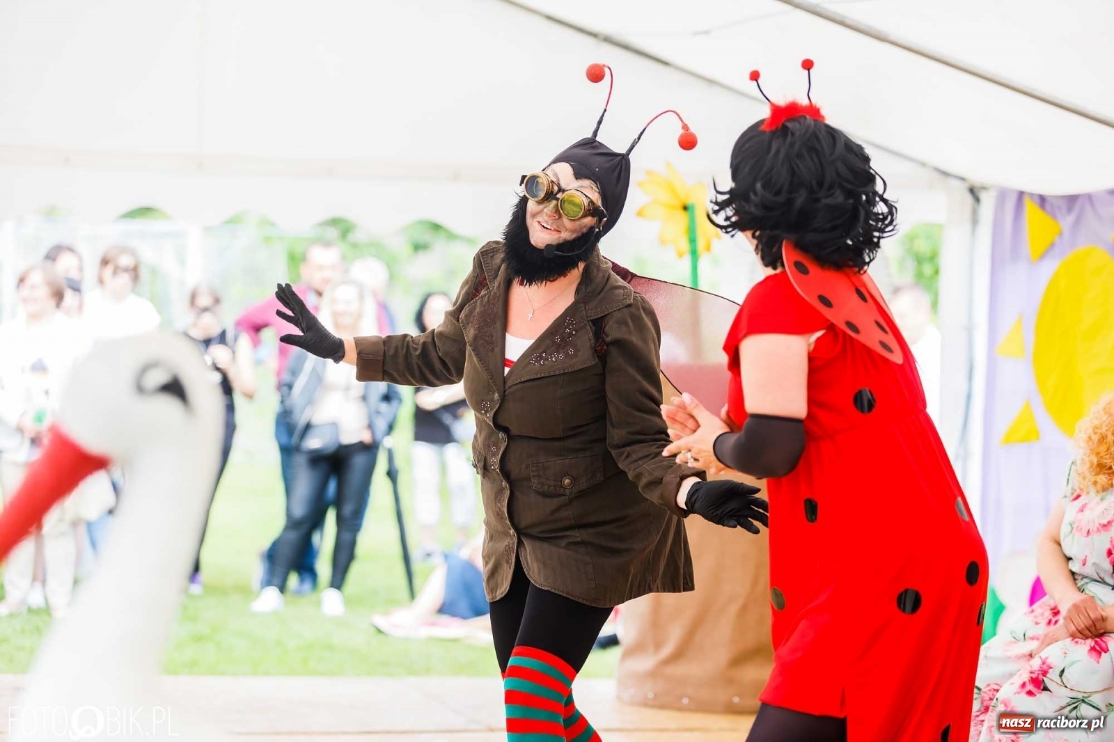 Zdjęcie w galerii na portalu naszraciborz.pl: Festyn rodzinny z Calineczką w Studziennej wiadomości z regionu