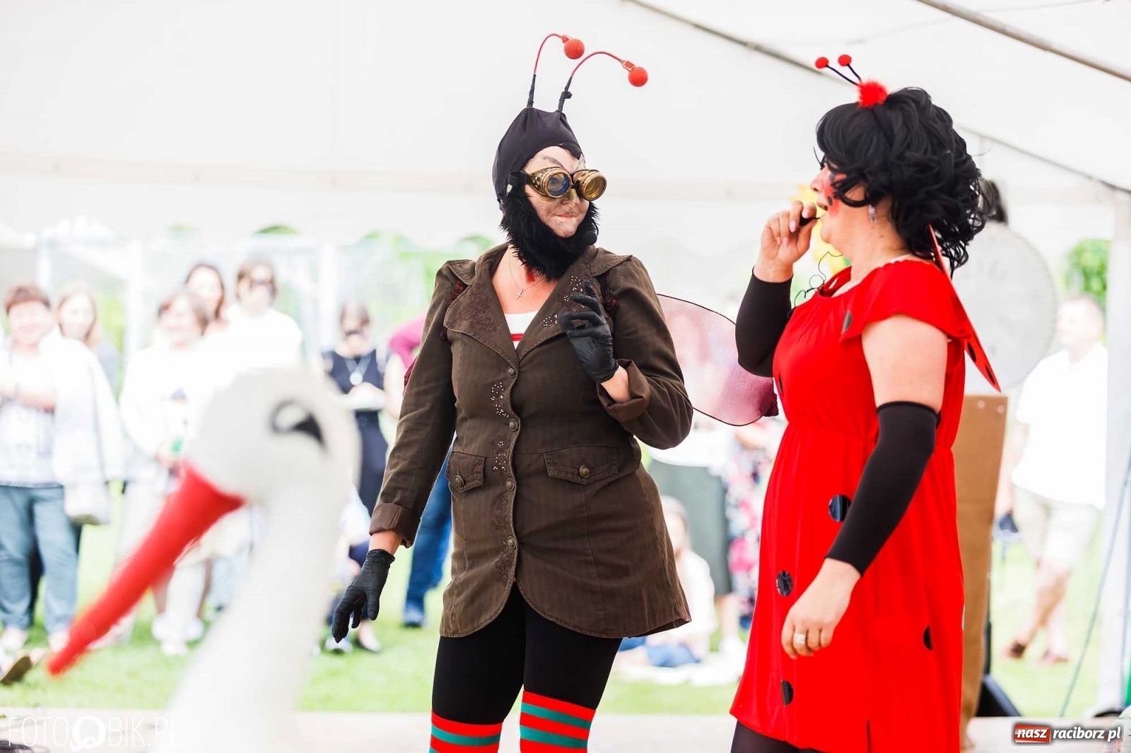 Zdjęcie w galerii na portalu naszraciborz.pl: Festyn rodzinny z Calineczką w Studziennej wiadomości z regionu