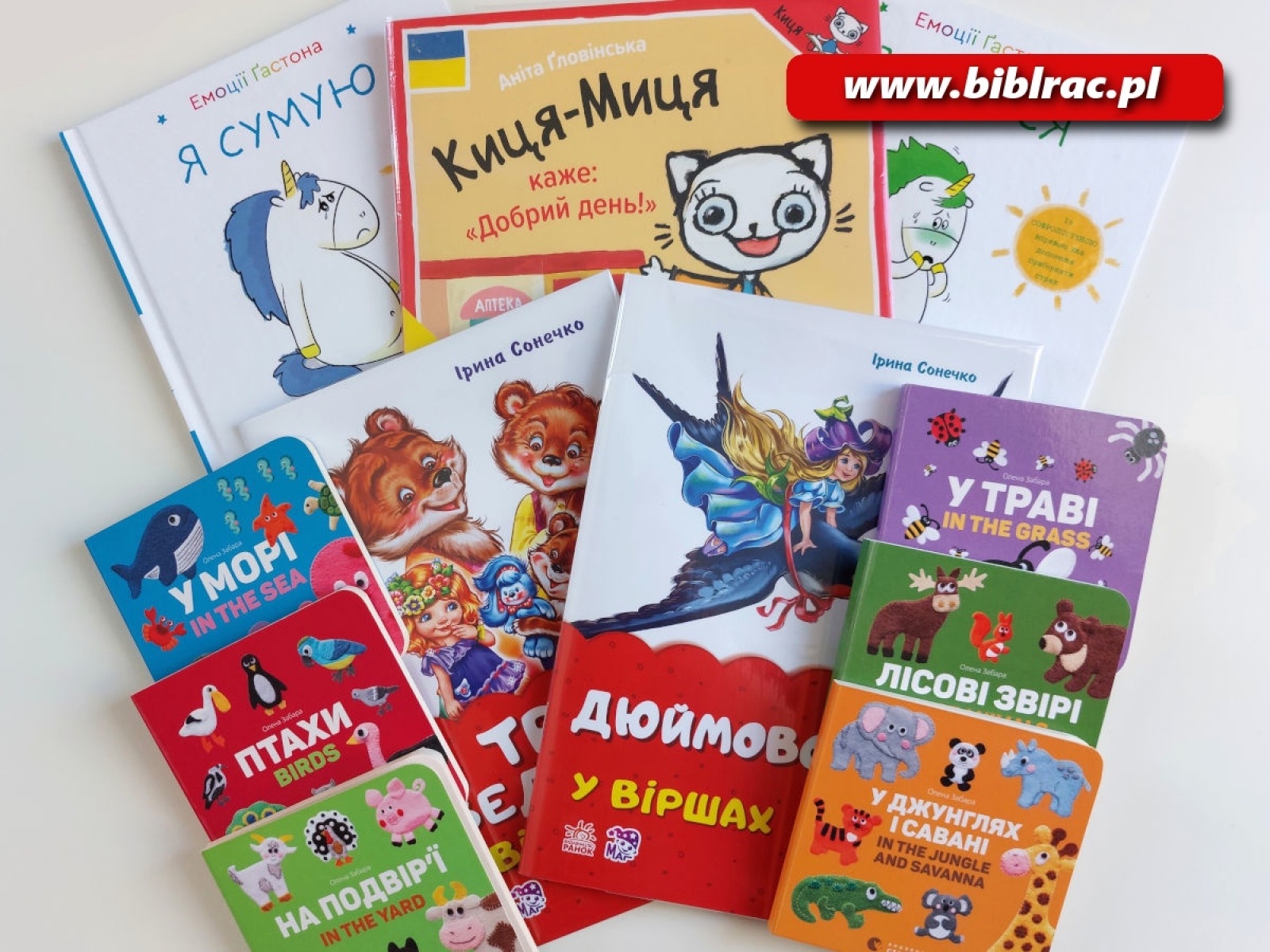 Zdjęcie w galerii na portalu naszraciborz.pl: W Raciborzu powiększa się biblioteka książek w języku ukraińskim wiadomości z regionu