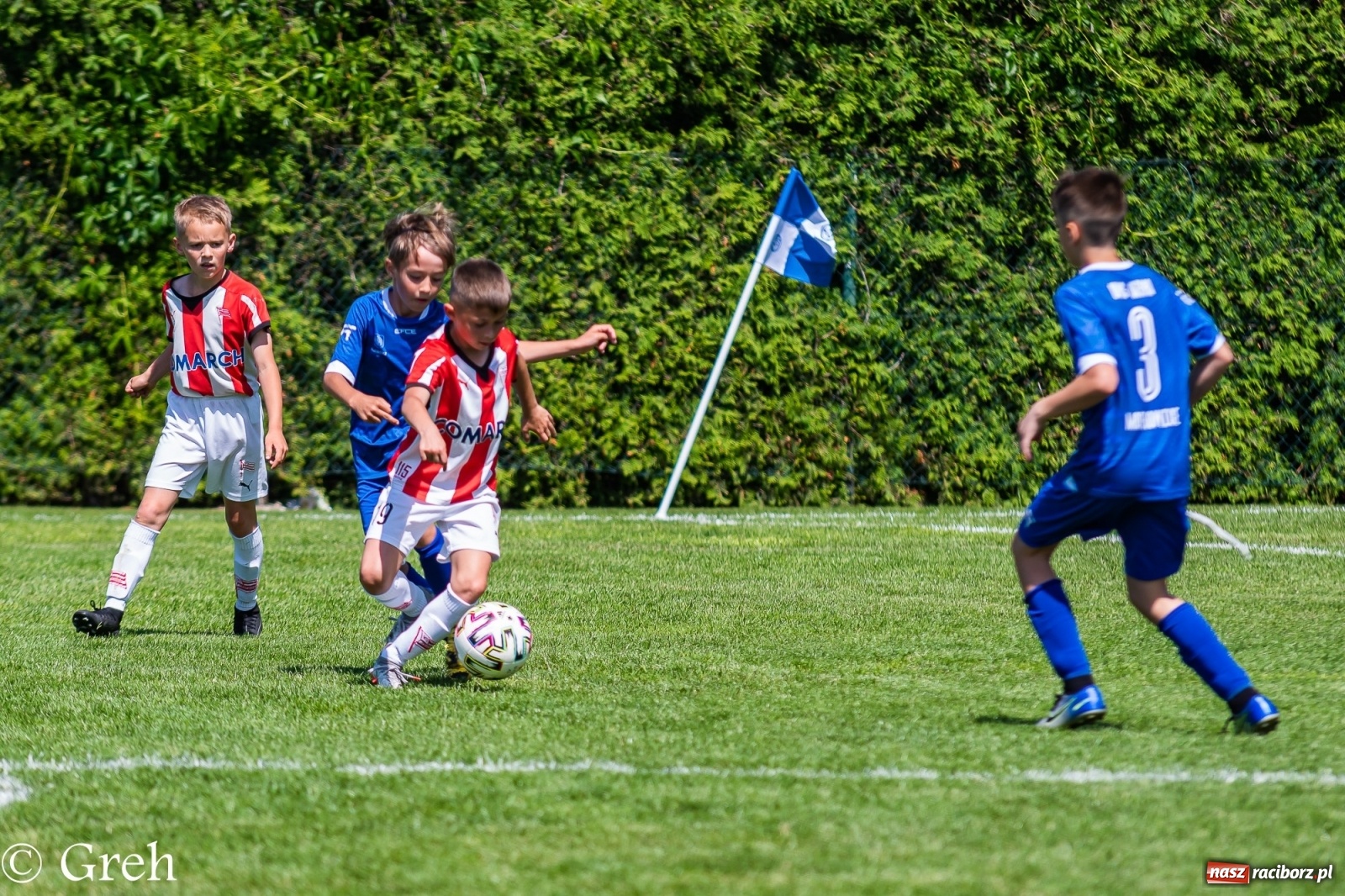 Zdjęcie w galerii na portalu naszraciborz.pl: Kędzierzyński Chemik triumfatorem V turnieju im. Huberta Kostki [FOTO i WIDEO] wiadomości z regionu
