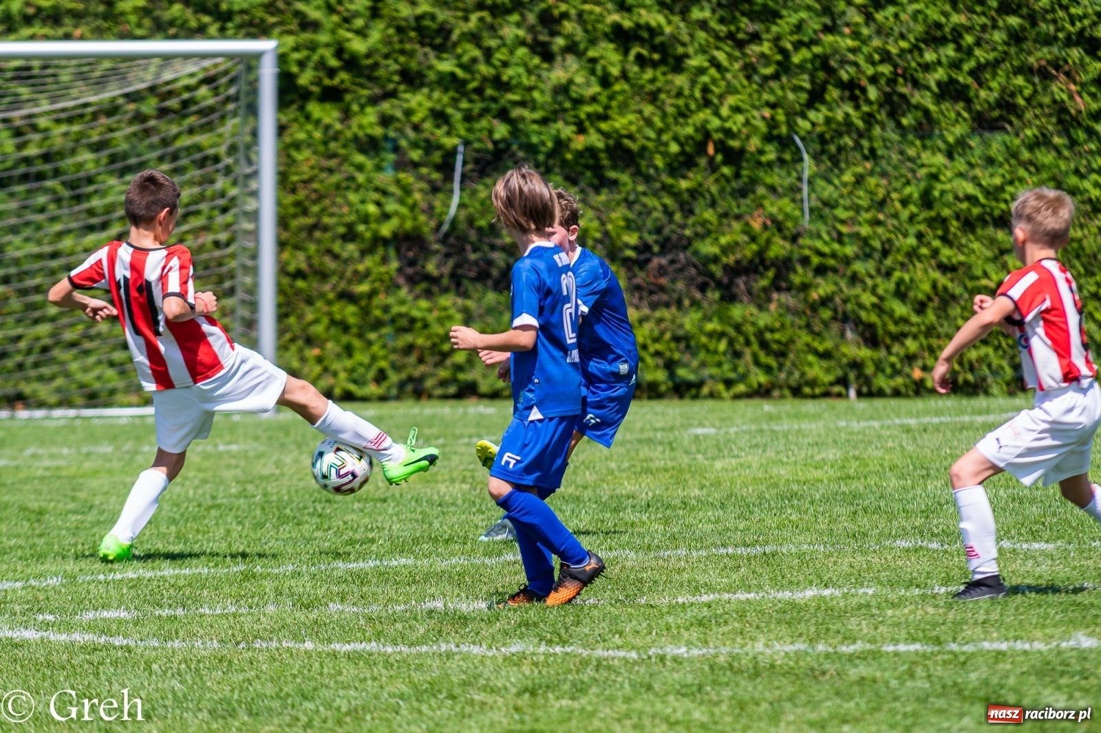 Zdjęcie w galerii na portalu naszraciborz.pl: Kędzierzyński Chemik triumfatorem V turnieju im. Huberta Kostki [FOTO i WIDEO] wiadomości z regionu