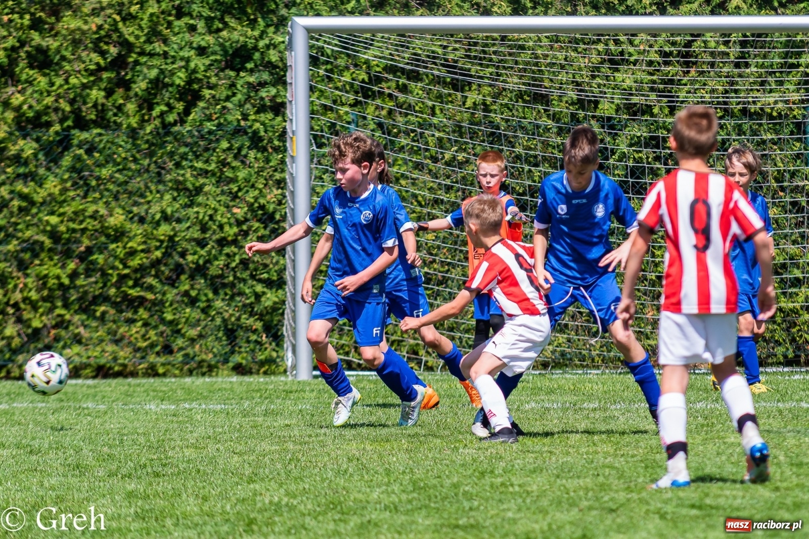 Zdjęcie w galerii na portalu naszraciborz.pl: Kędzierzyński Chemik triumfatorem V turnieju im. Huberta Kostki [FOTO i WIDEO] wiadomości z regionu